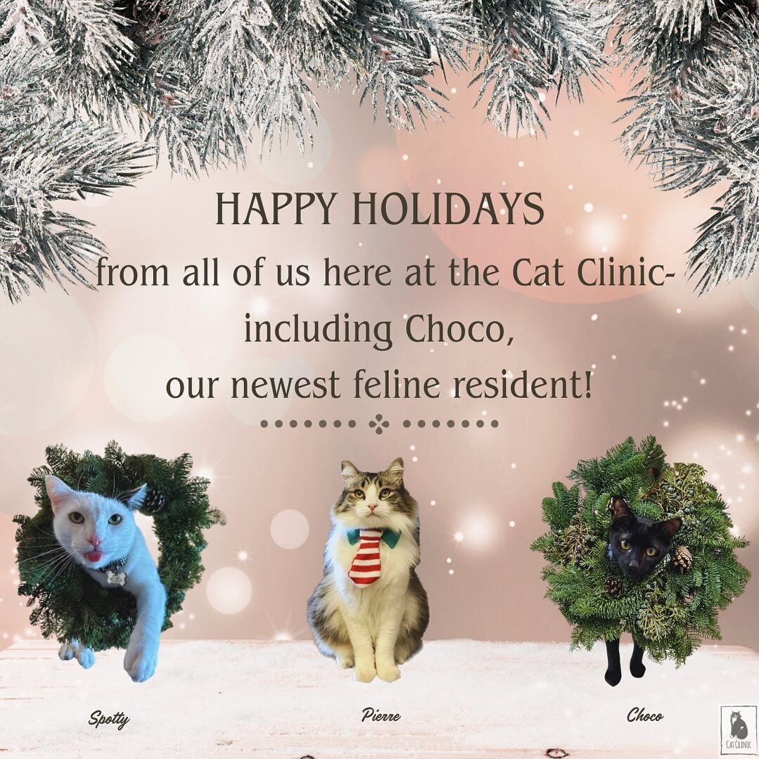Happy Holidays from the Cat Clinic team! 

The Cat Clinic will be closed on Monday (12/25) and Monday (1/1) in observance of the Christmas and New Year&rsquo;s holidays. 

We will be resuming our normal business hours (M-F, 8-5) on Tuesday (12/26) an