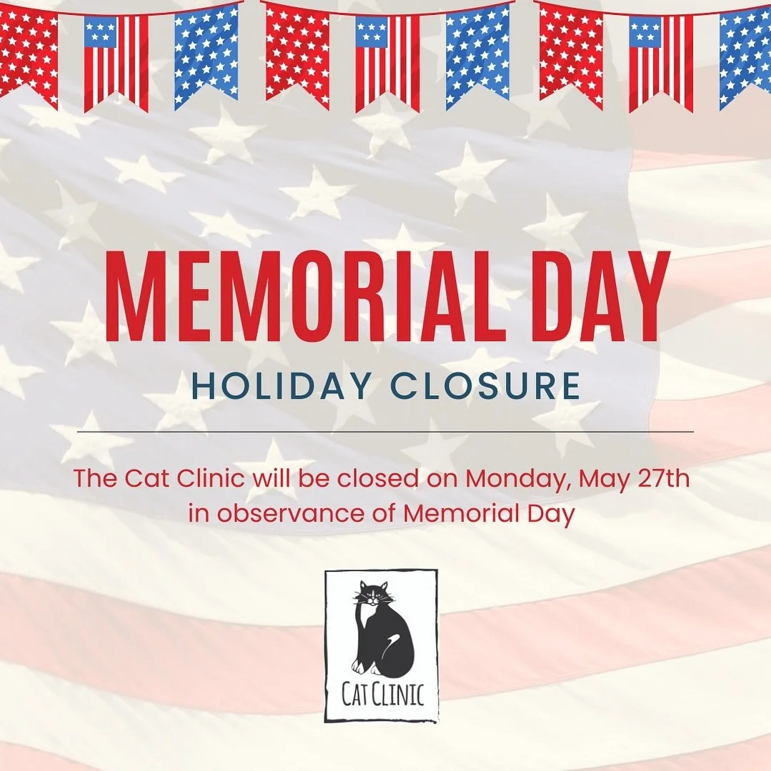We will be resuming our normal business hours on Tuesday, May 28th. 

As a general reminder, all non-urgent appointment requests, food requests and prescription refills are best made via text message or email.

In case of a cat medical emergency whil
