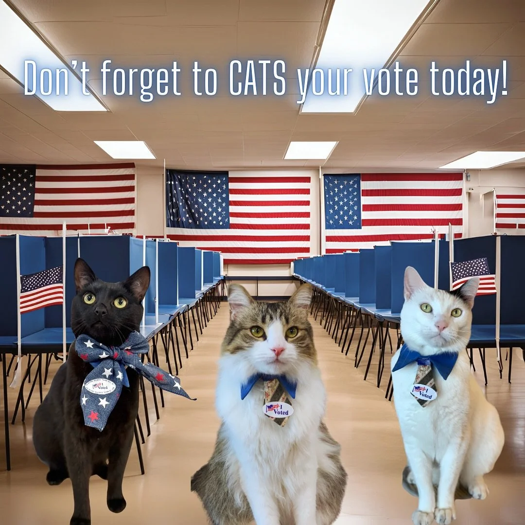VOTE 🇺🇸 🗳️ 

#vote #votingcats #keepcalmandlovecats #catclinicvetspotty #catclinicvetpierre #catclinicvetchoco #cats_of_instagram #catsofig #tuesday #catclinic #catswhovote #castyourvote #twocutetuesday #electionday
