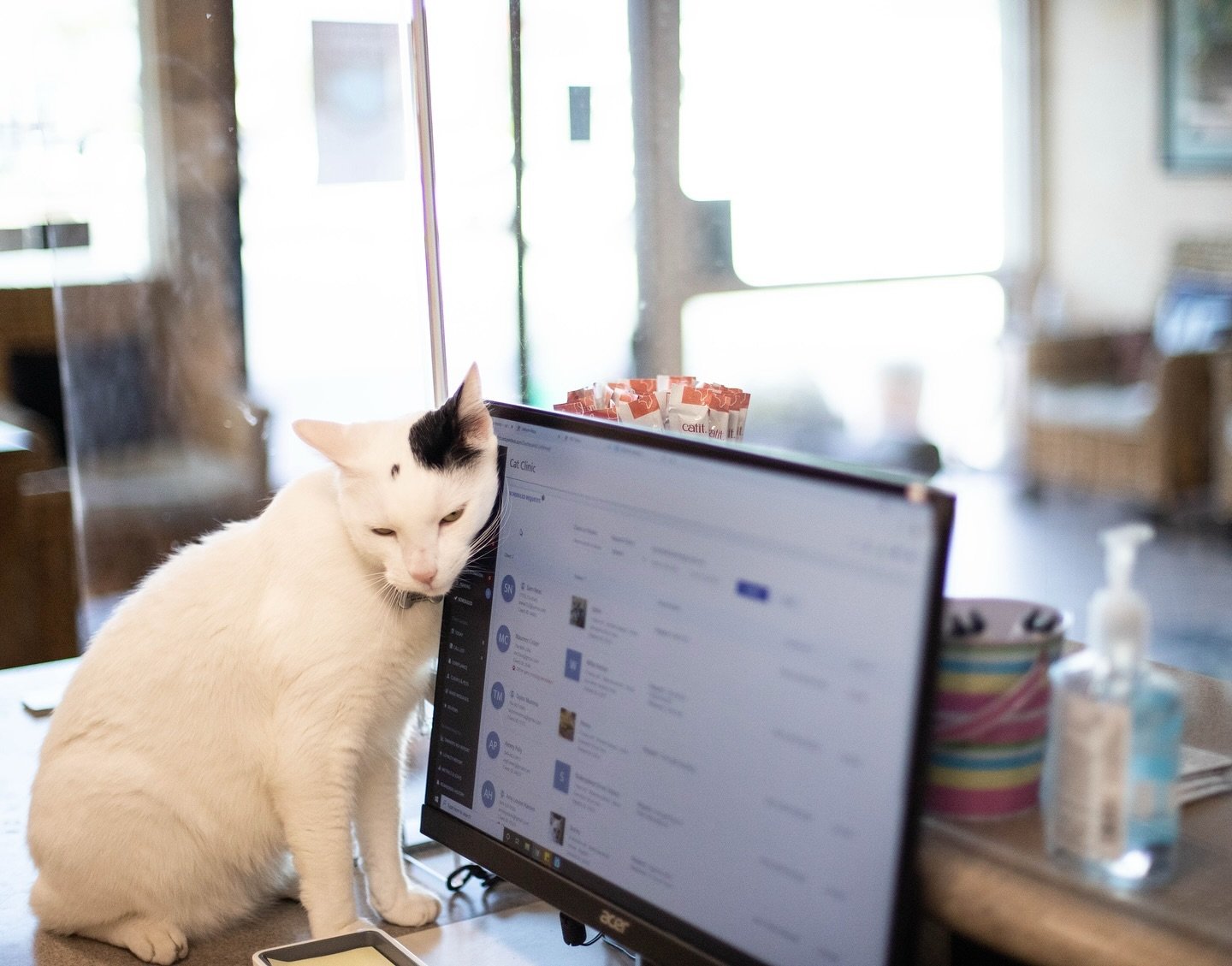 Please Note: We will be closed Friday, December 13th for our medical record software update.

This exciting change will help us serve you and your cats even better, but it means we won&rsquo;t have access to patient records or our appointment schedul