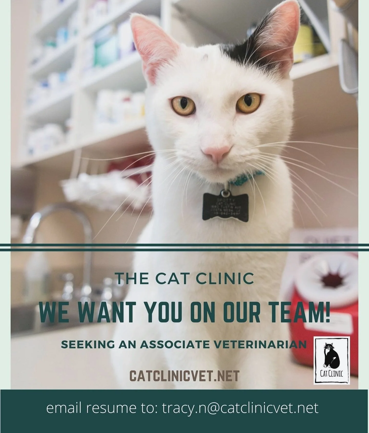 Cat-loving veterinarians, we&rsquo;re hiring! Join our exceptional team at the Cat Clinic. 🐈

#catclinic #aafp #feline #catclinicvet #keepcalmandlovecats #aaha #americanassociationoffelinepractitioners #dvm #dvmjobs #veterinarianjobs #joinourteam #a