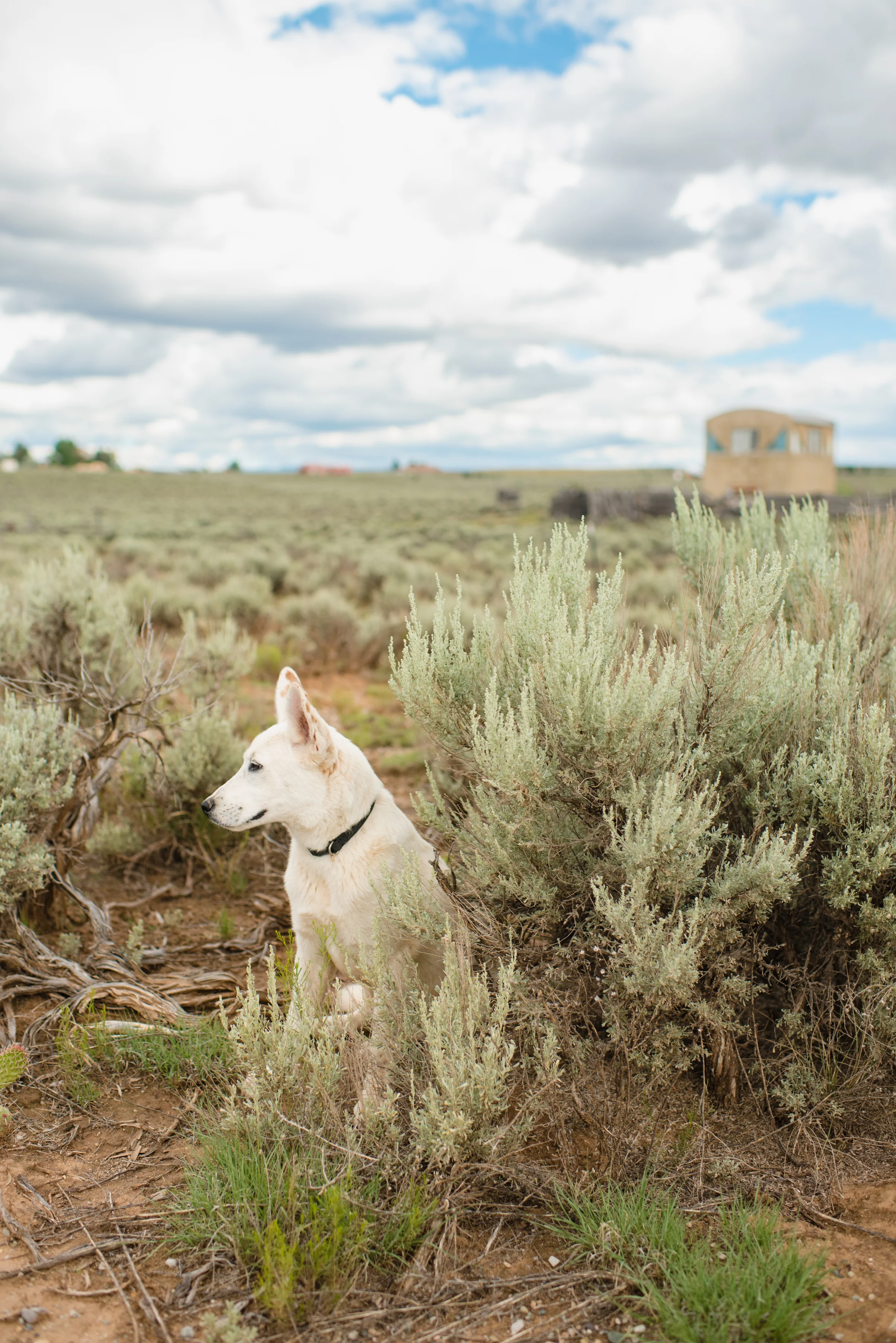 2016 Roadtrip: Day One