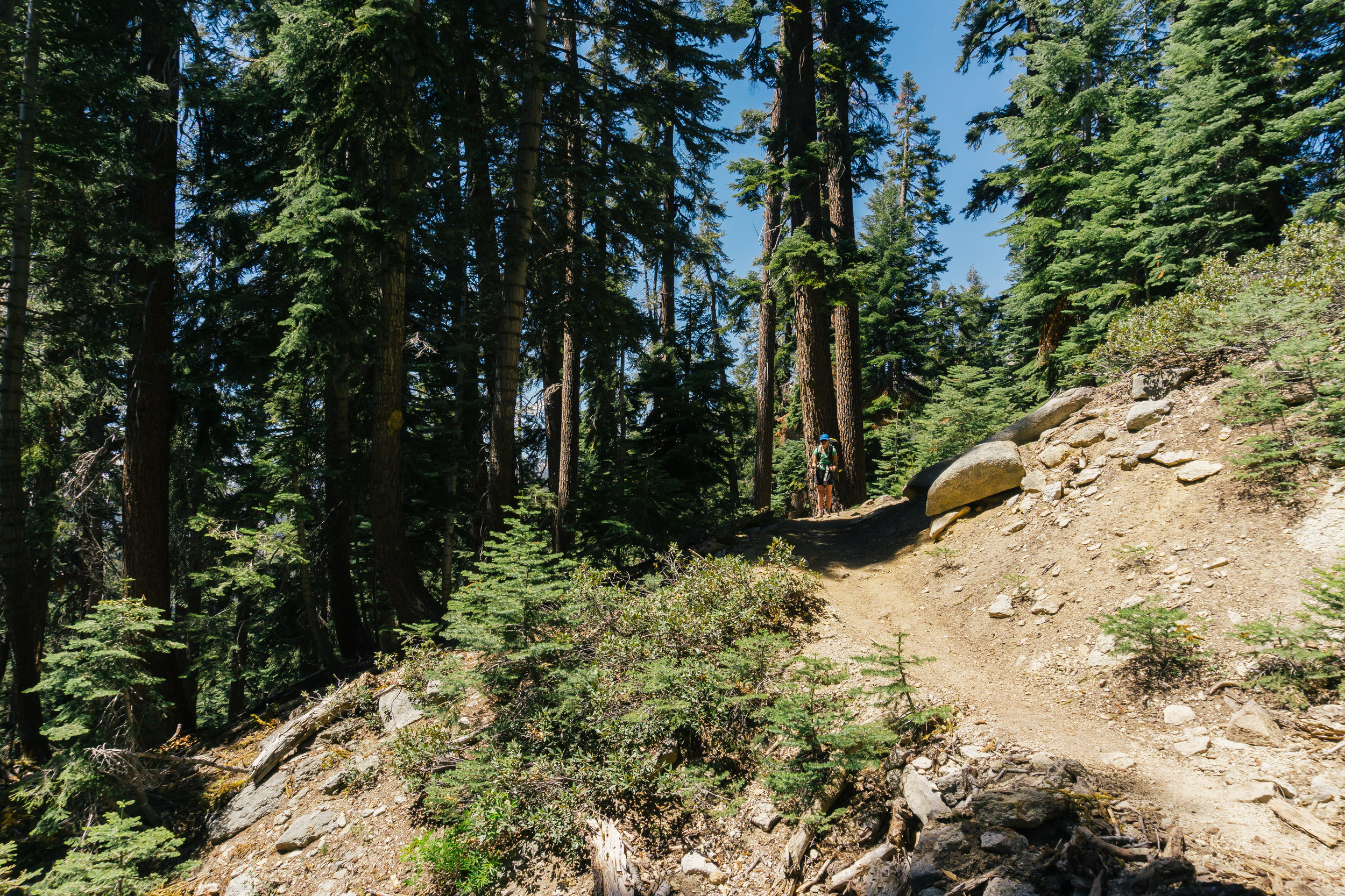 Road trip #5: Sequoia National Park and the Lakes trail