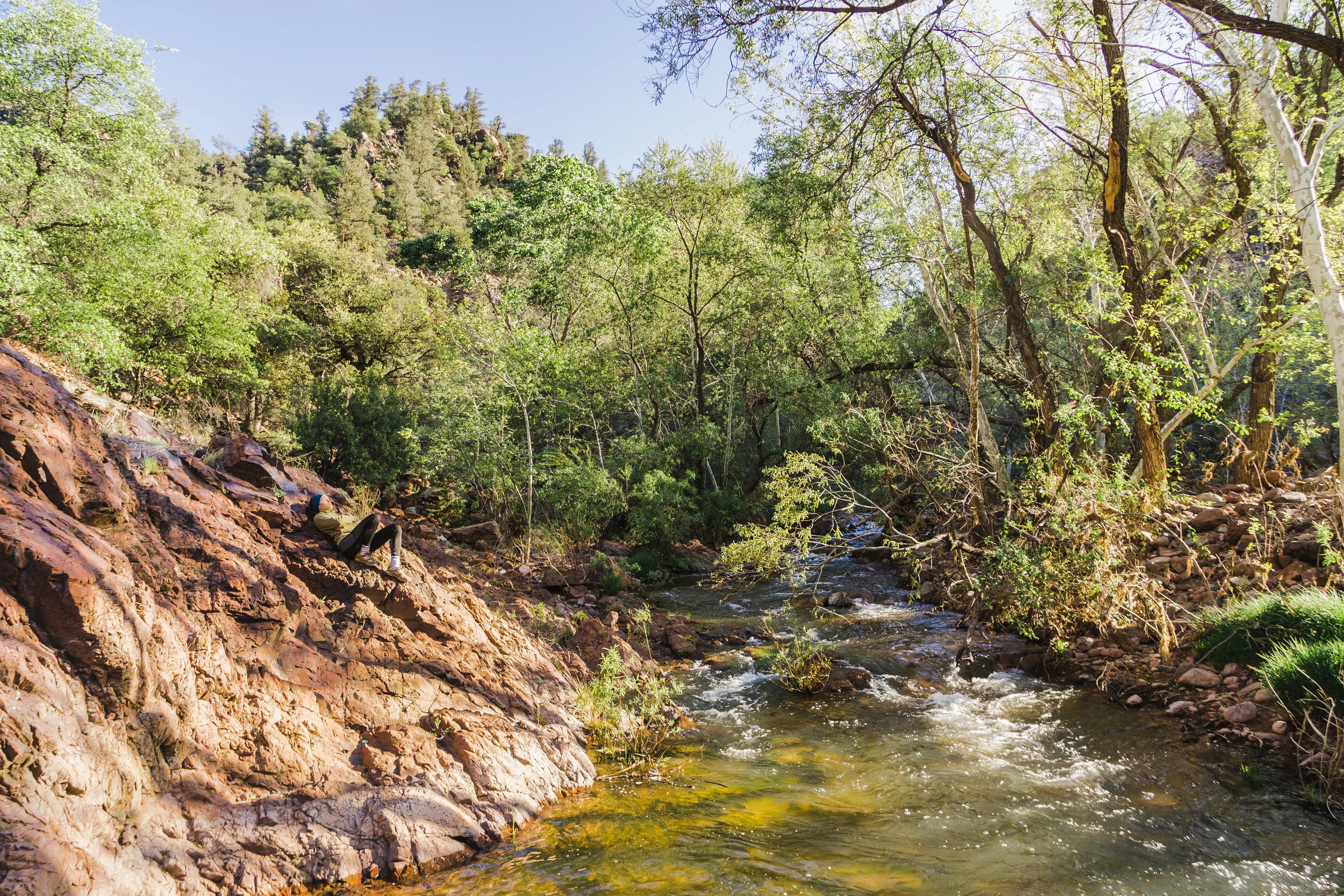 I'm still alive! In the Hellsgate wilderness