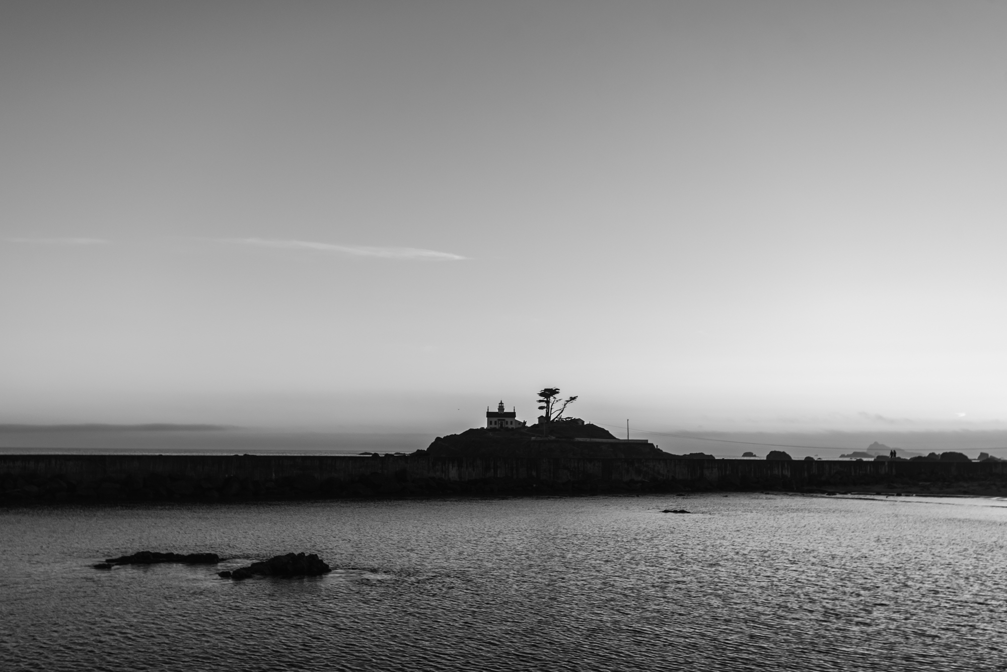 DSC_7905.jpg