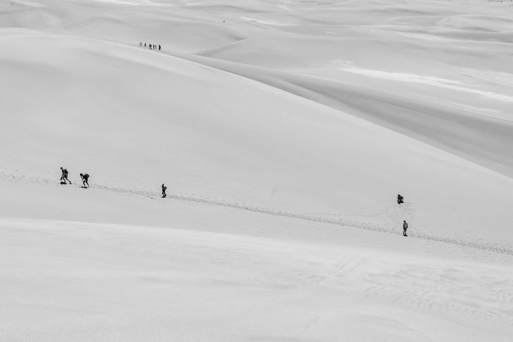 DSC_8238.jpg