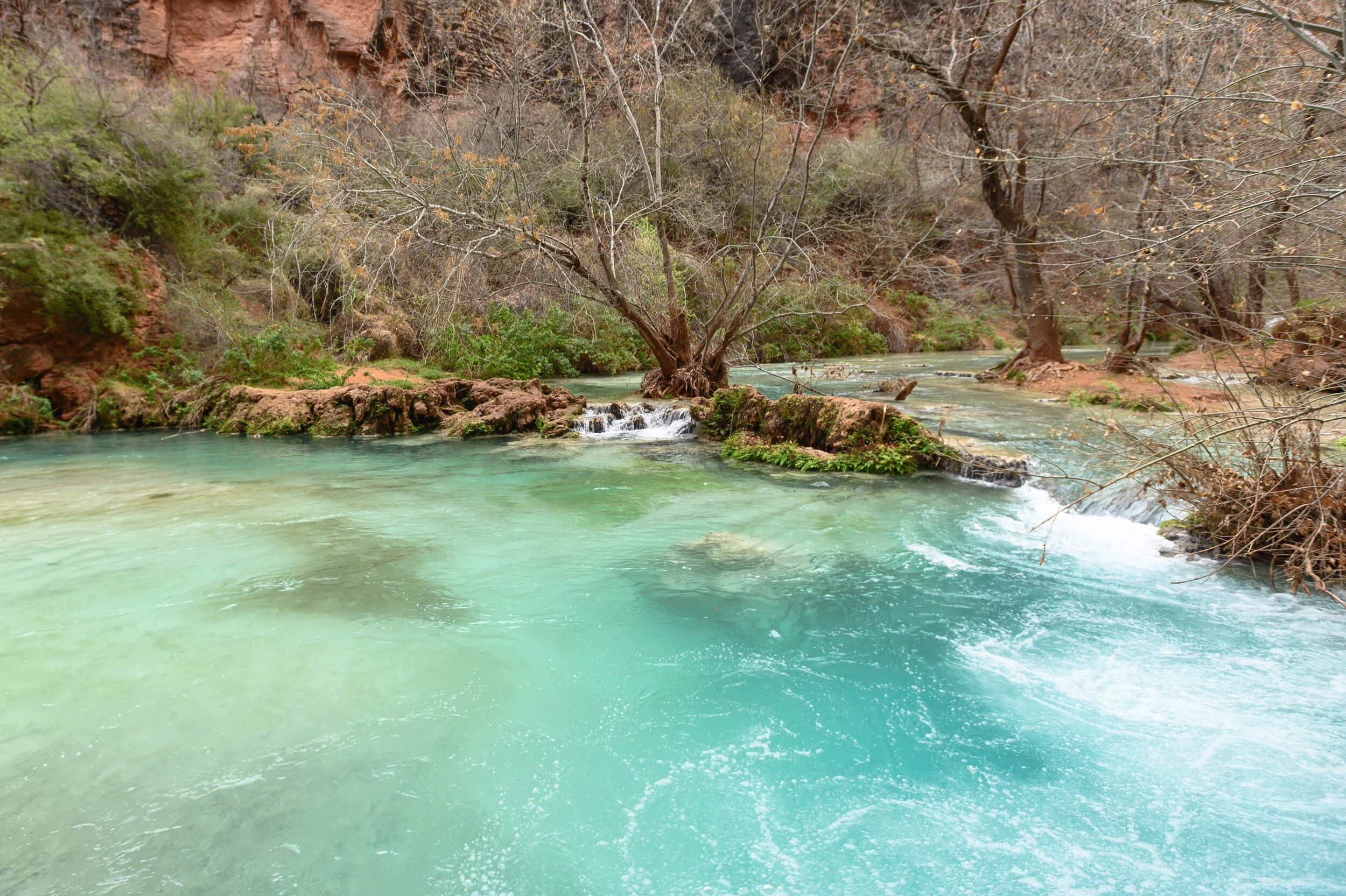 DSC_1284.jpg