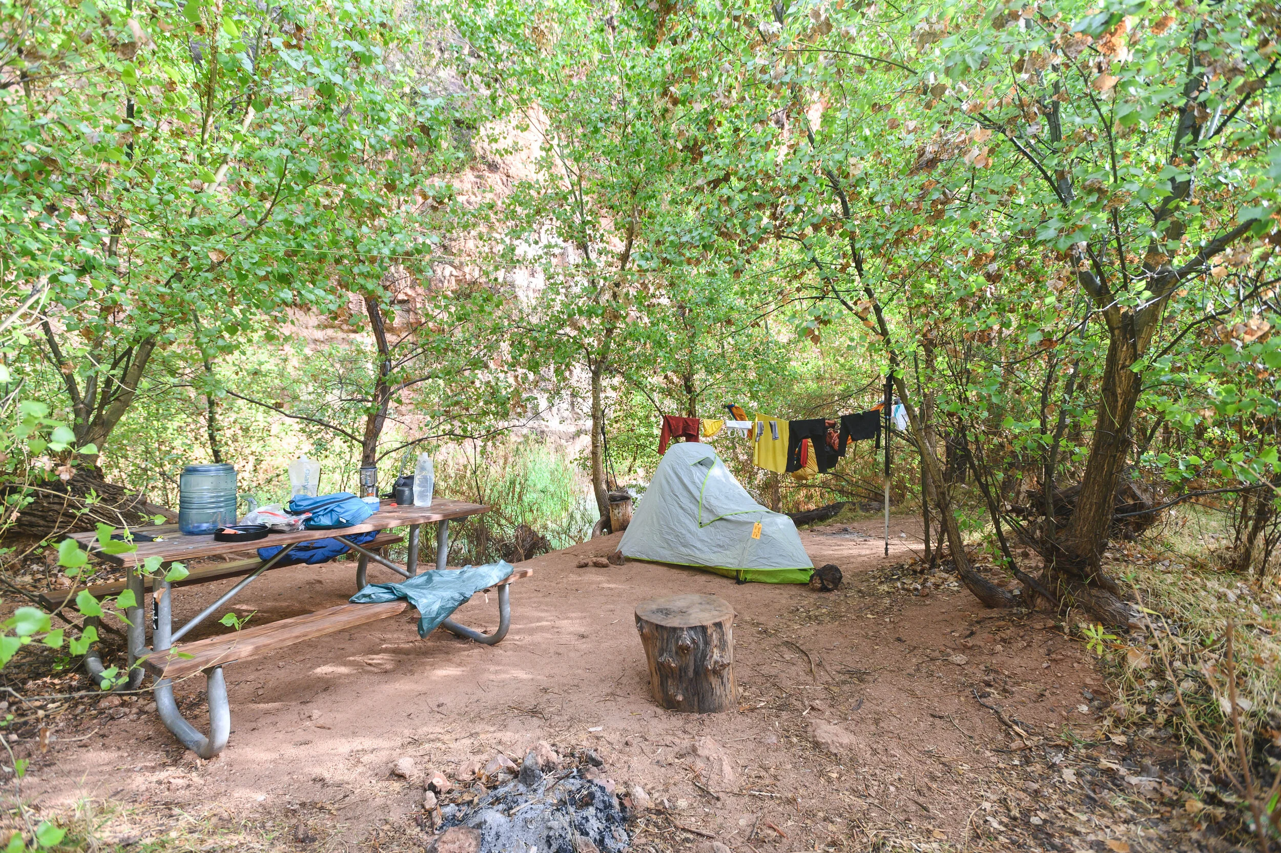 DSC_1330.jpg