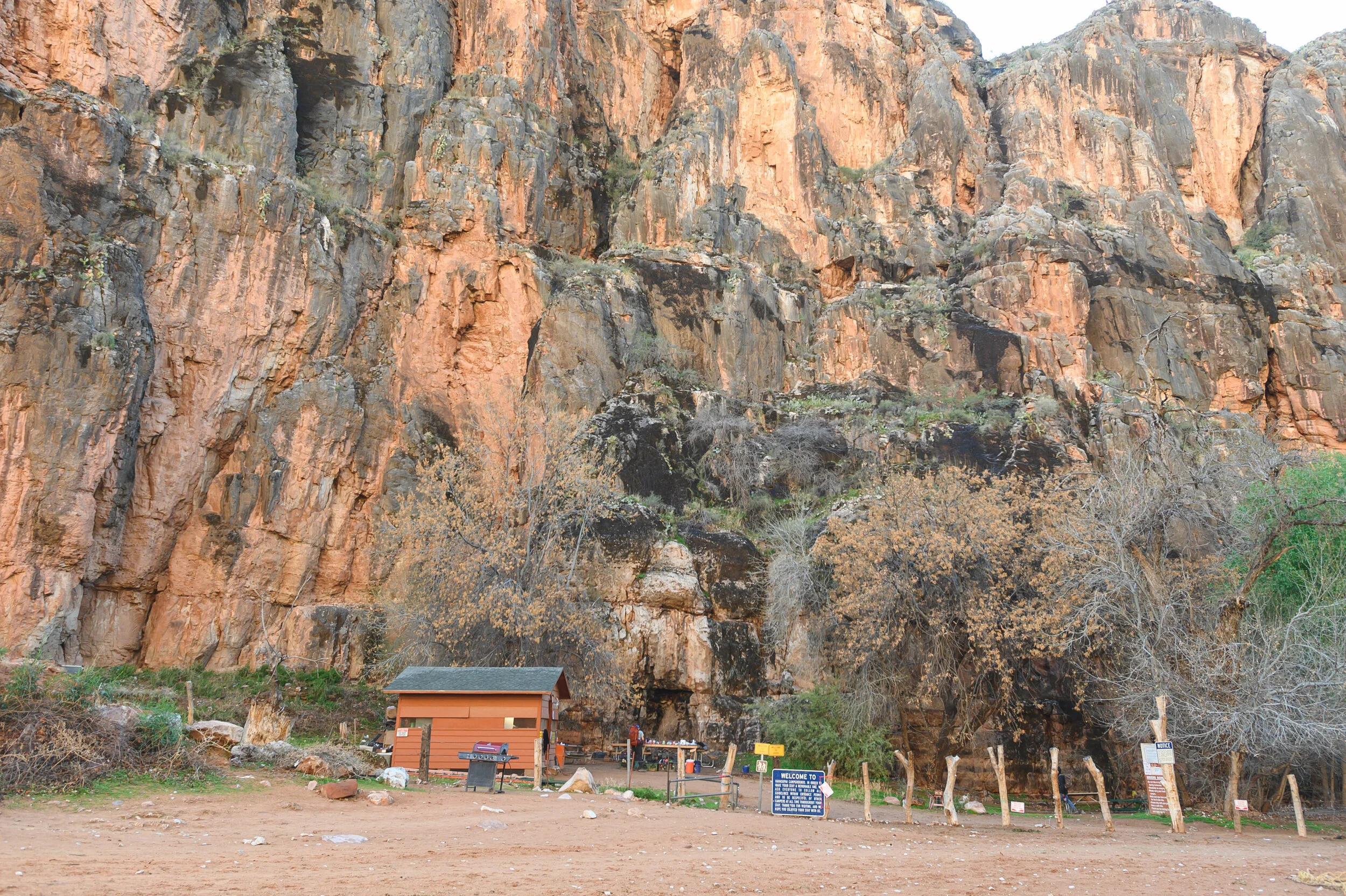 DSC_1382.jpg