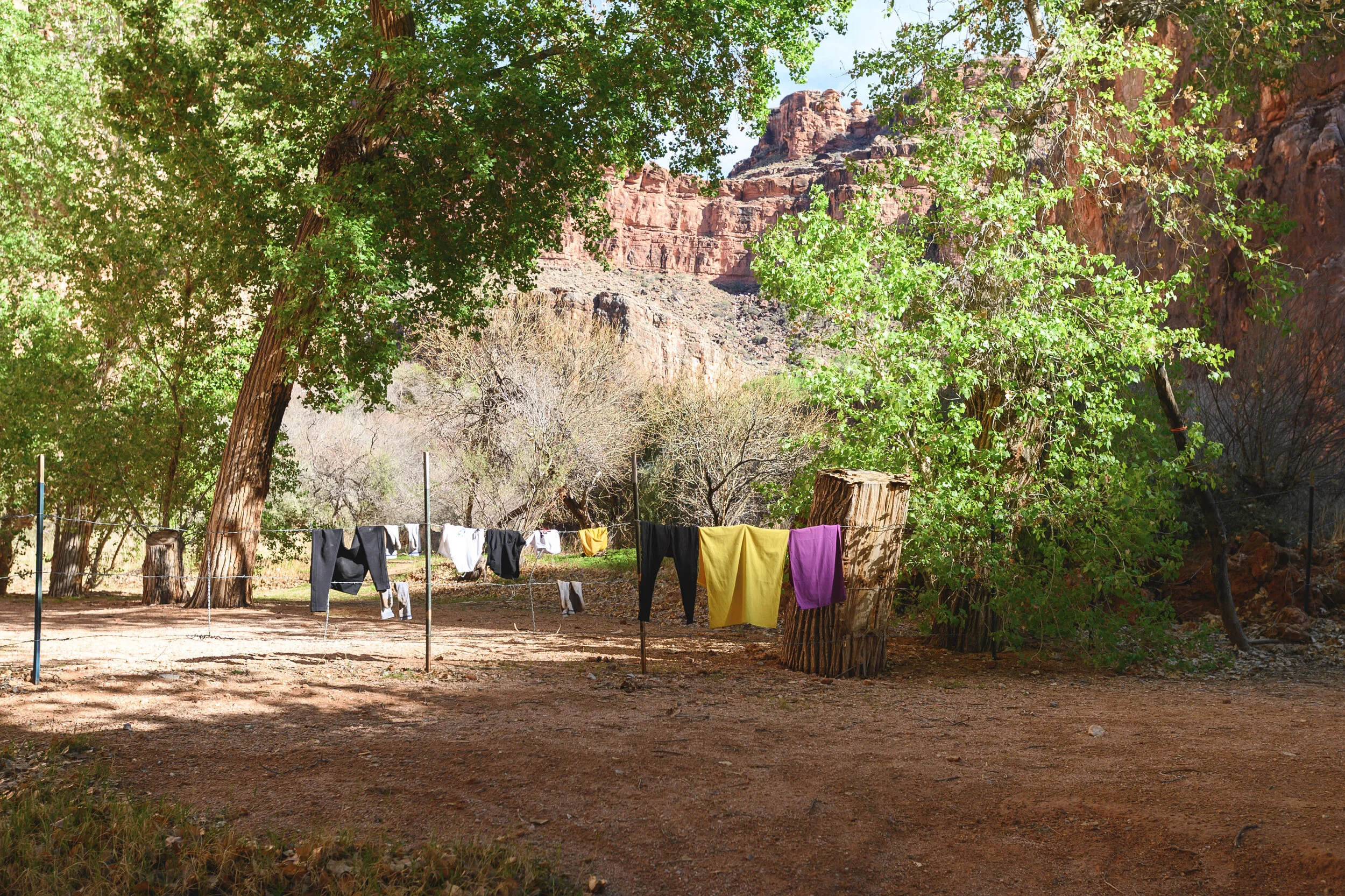 DSC_1372.jpg