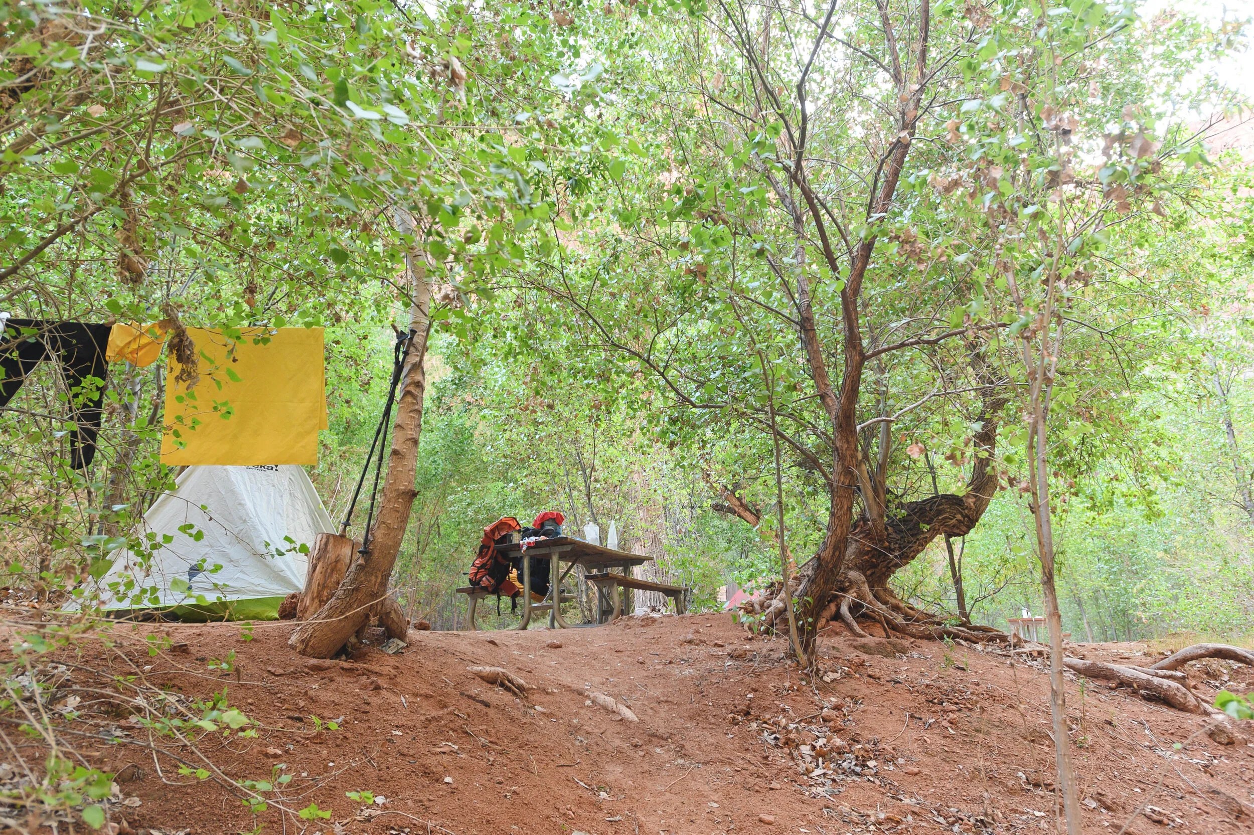 DSC_1384.jpg