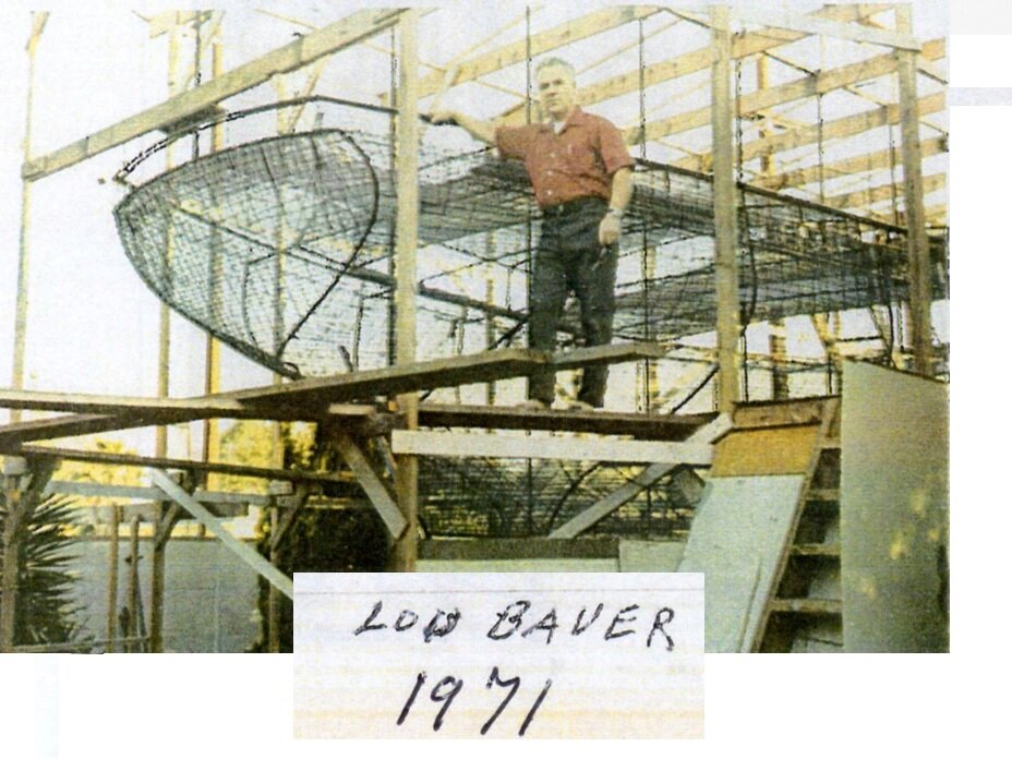 2Lou Bauer.jpg