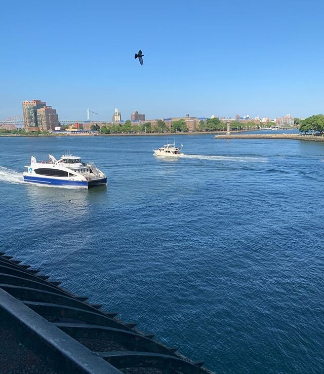 Busy day on the East River. #nyc #boatsandbirds #summer ⛵️ 🌊