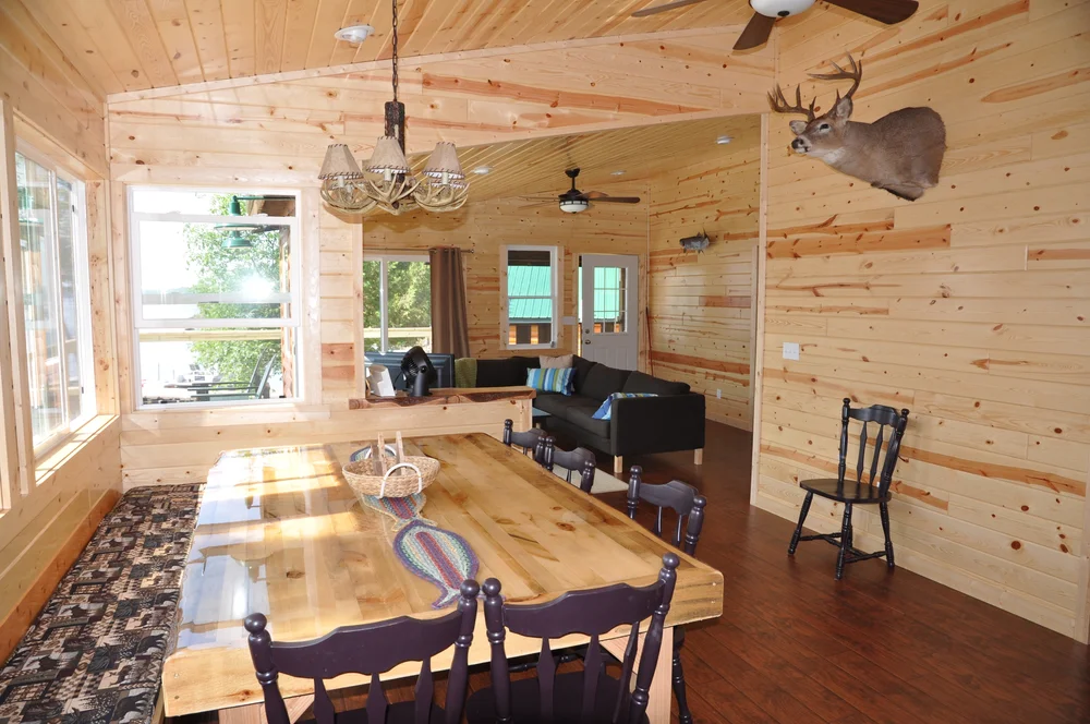Cabin 16, the Lucky Buck, at the shoreline beneath tall pines