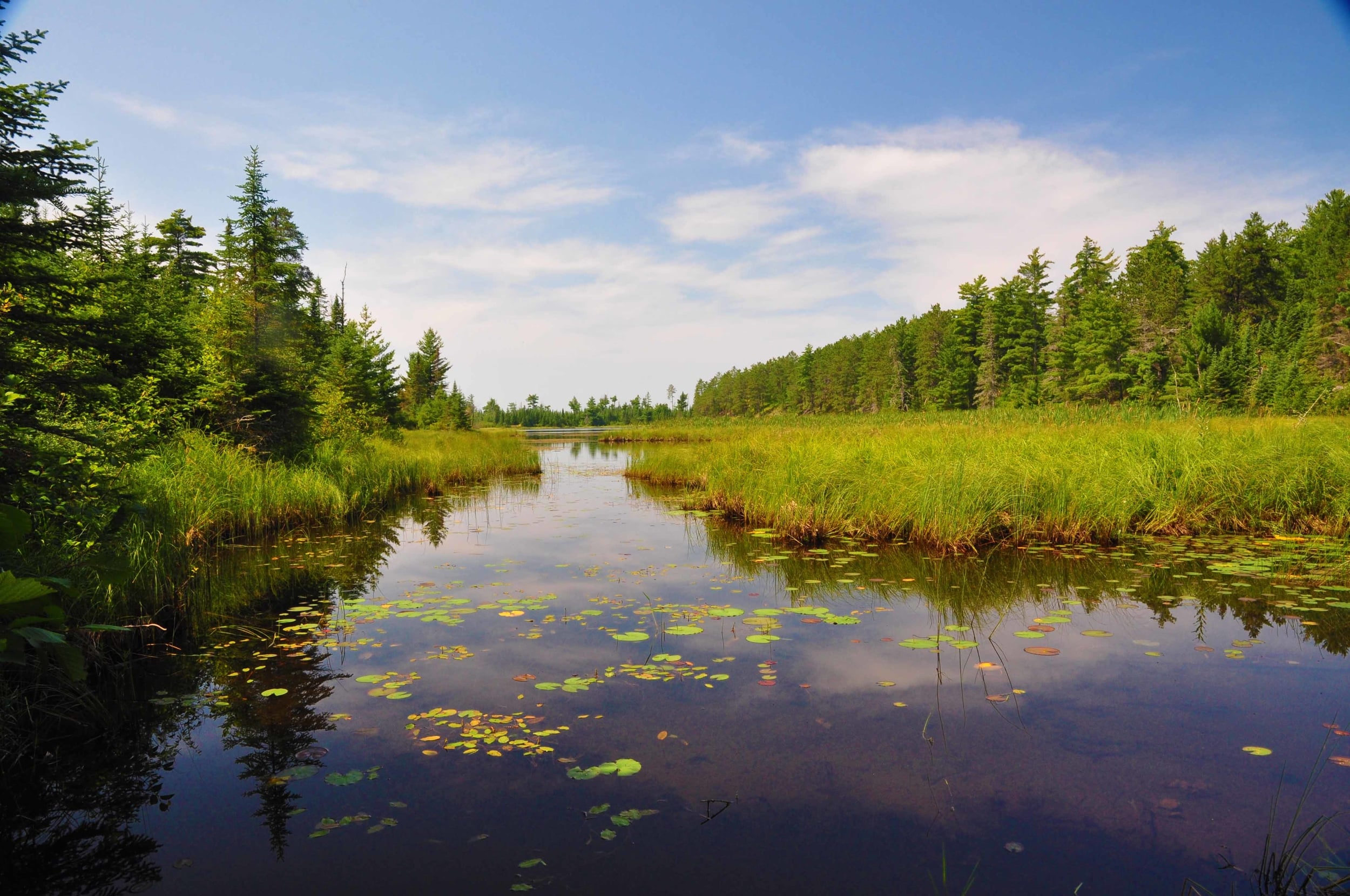 Discoverv Lead Image SM.jpg