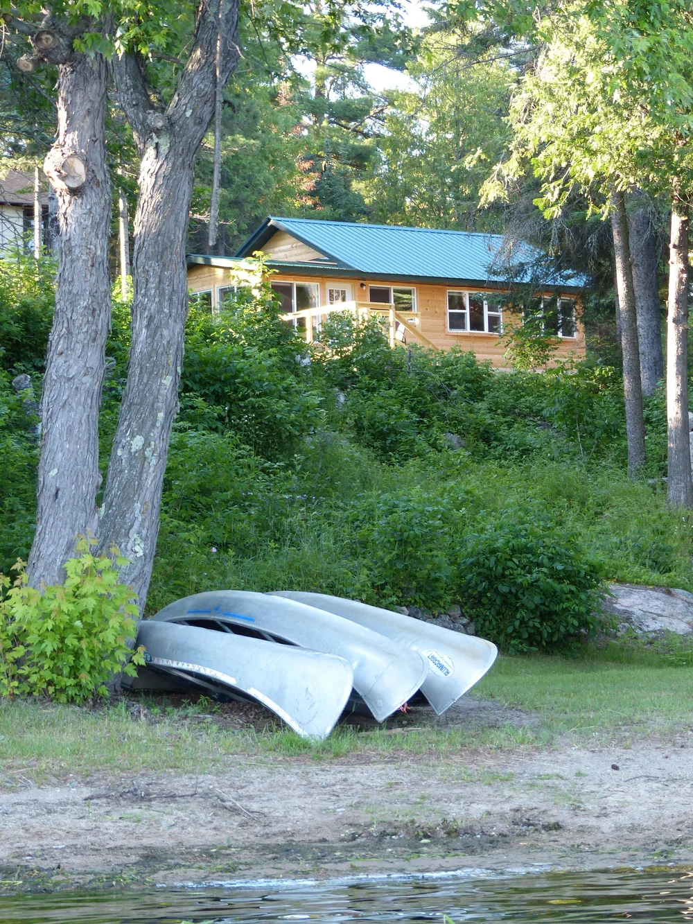 Cabin 25, the Loons, seen from the lake under tall pines