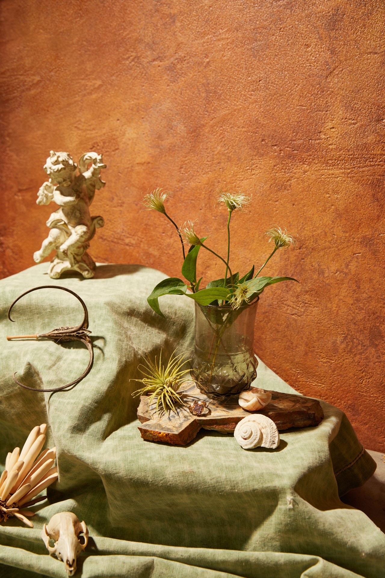 230211_Tabletop_Nature_Details_0295.jpeg
