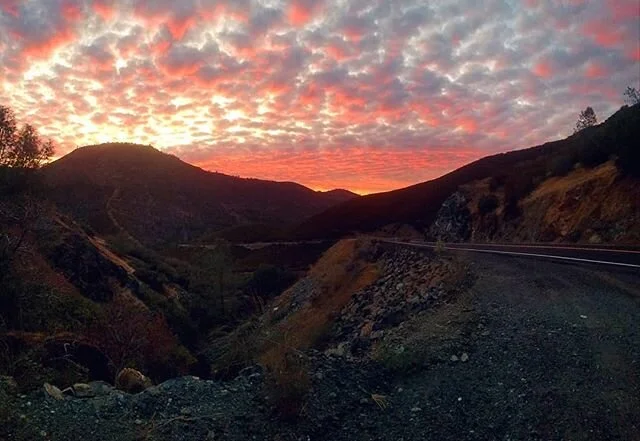 All this talk of quarantine is making me reminisce on times of wanderlust.
. 
Somewhere along the Golden Chain Highway on the way to Yosemite.