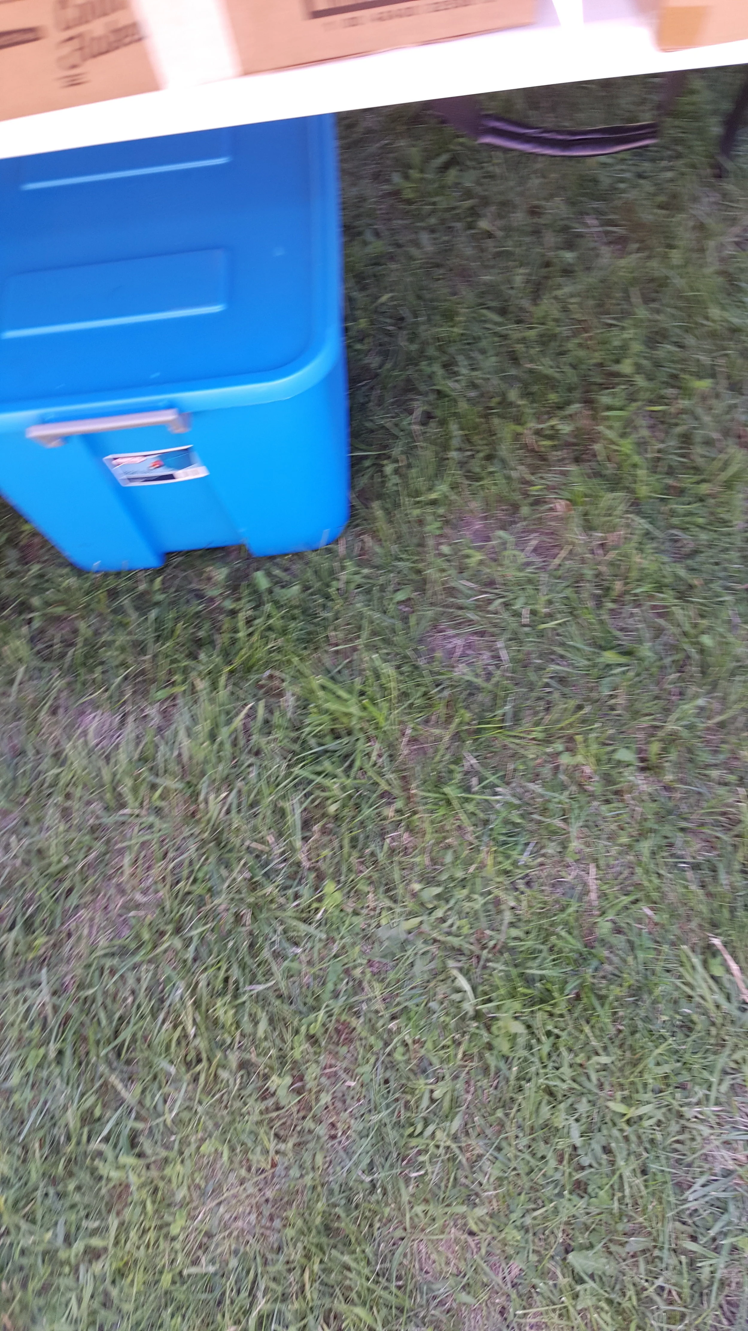 20160826_164500.jpg