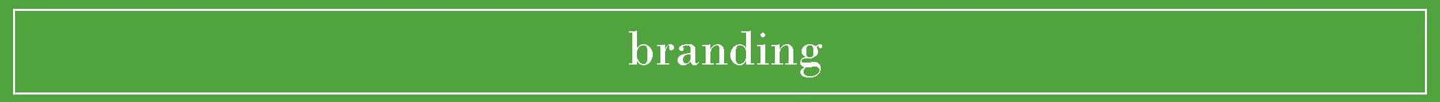 business by barnhill header branding.jpg