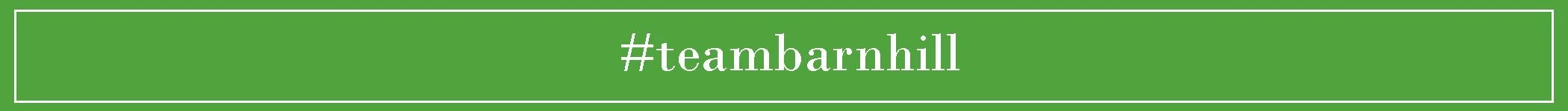 business by barnhill header teambarnhill.jpg
