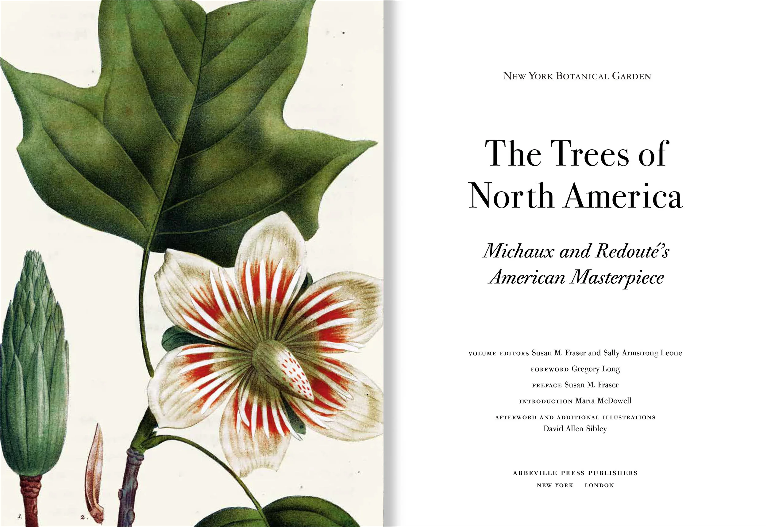 Trees_122316-2.jpg