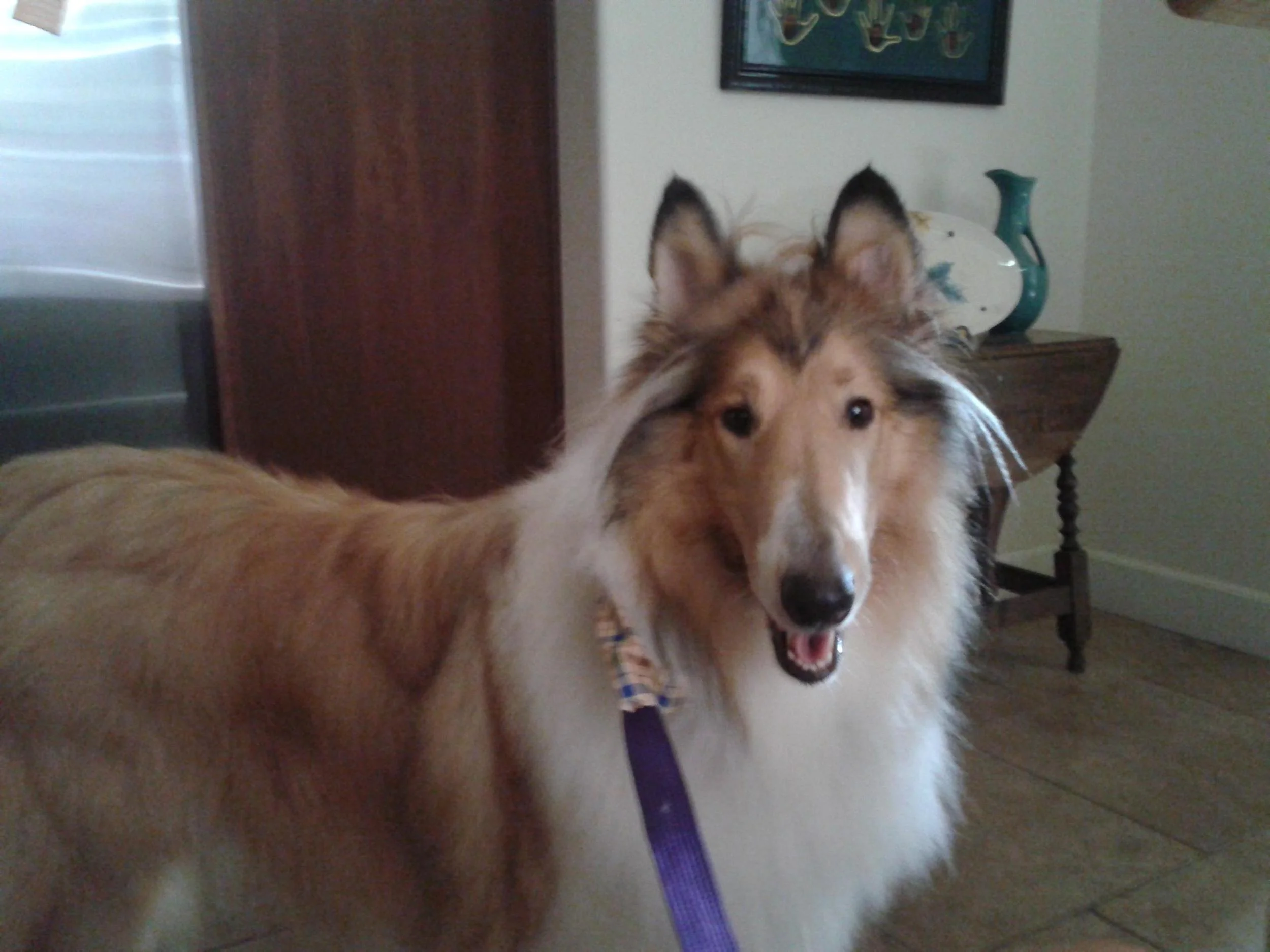 Archie looking so handsome!