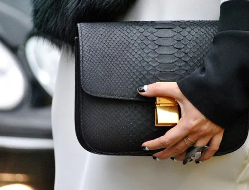 Celine - snakeskin