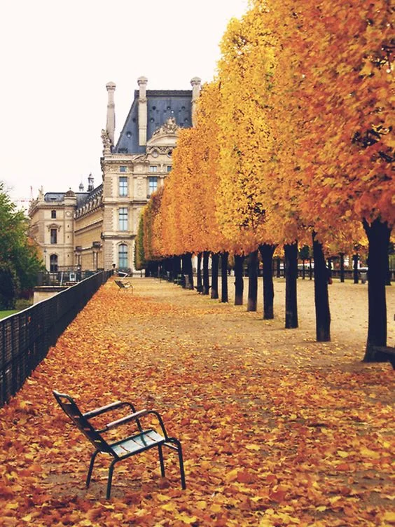 Address: Jardin des Tuileries, 113 Rue de Rivoli, 75001 Paris