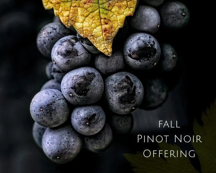 2017_Fall_Pinot_Offerning_9848.jpg