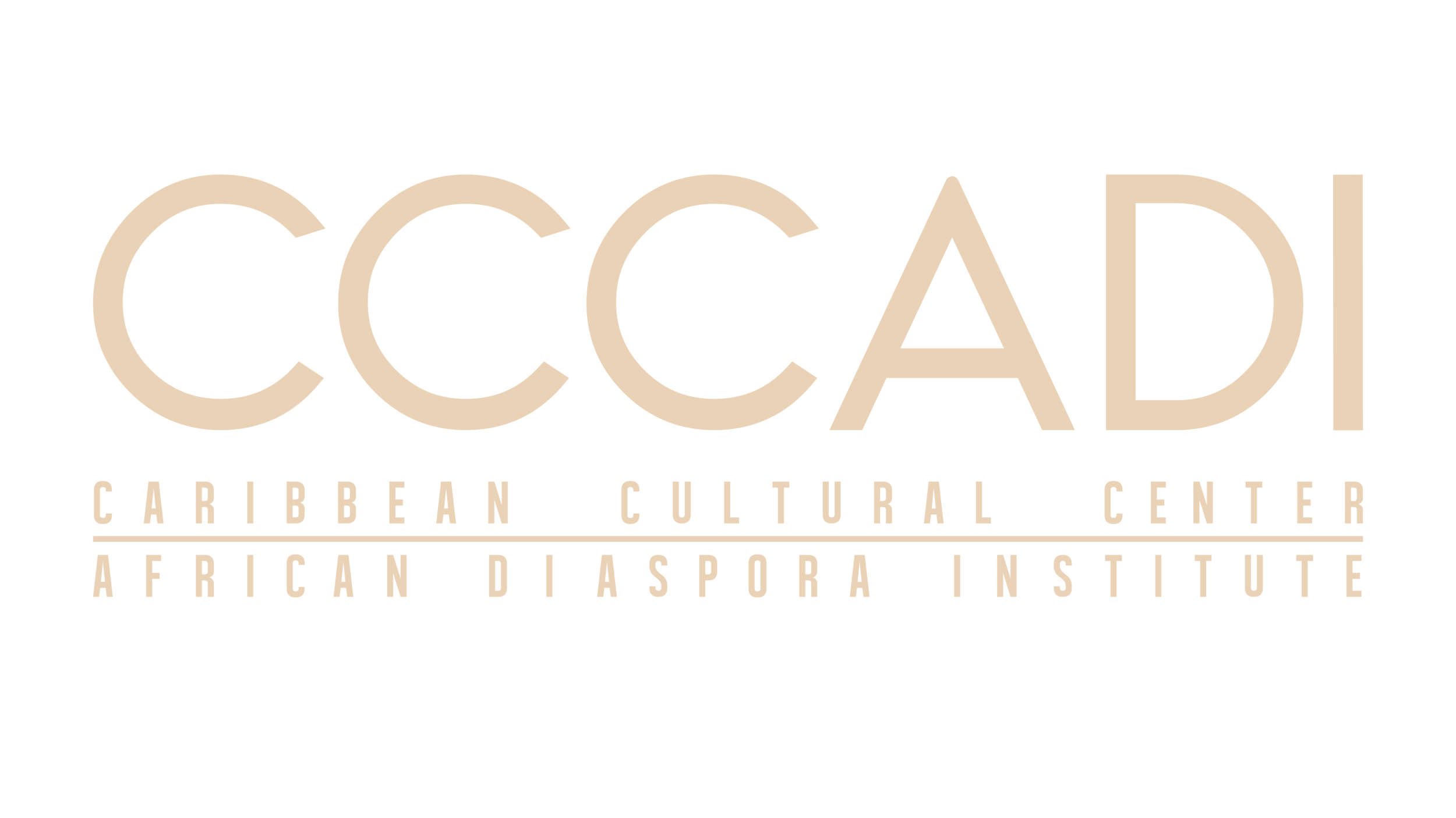 CCCADI_LOGOINTI_2-05.png