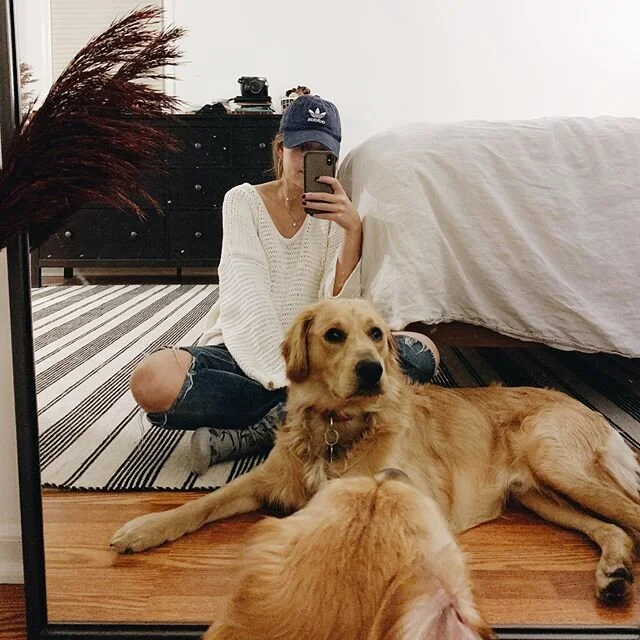 8 weeks to 1 year old 🎂 Swipe for Baby B 💓 
#minigoldenretriever #vsco #cleveland