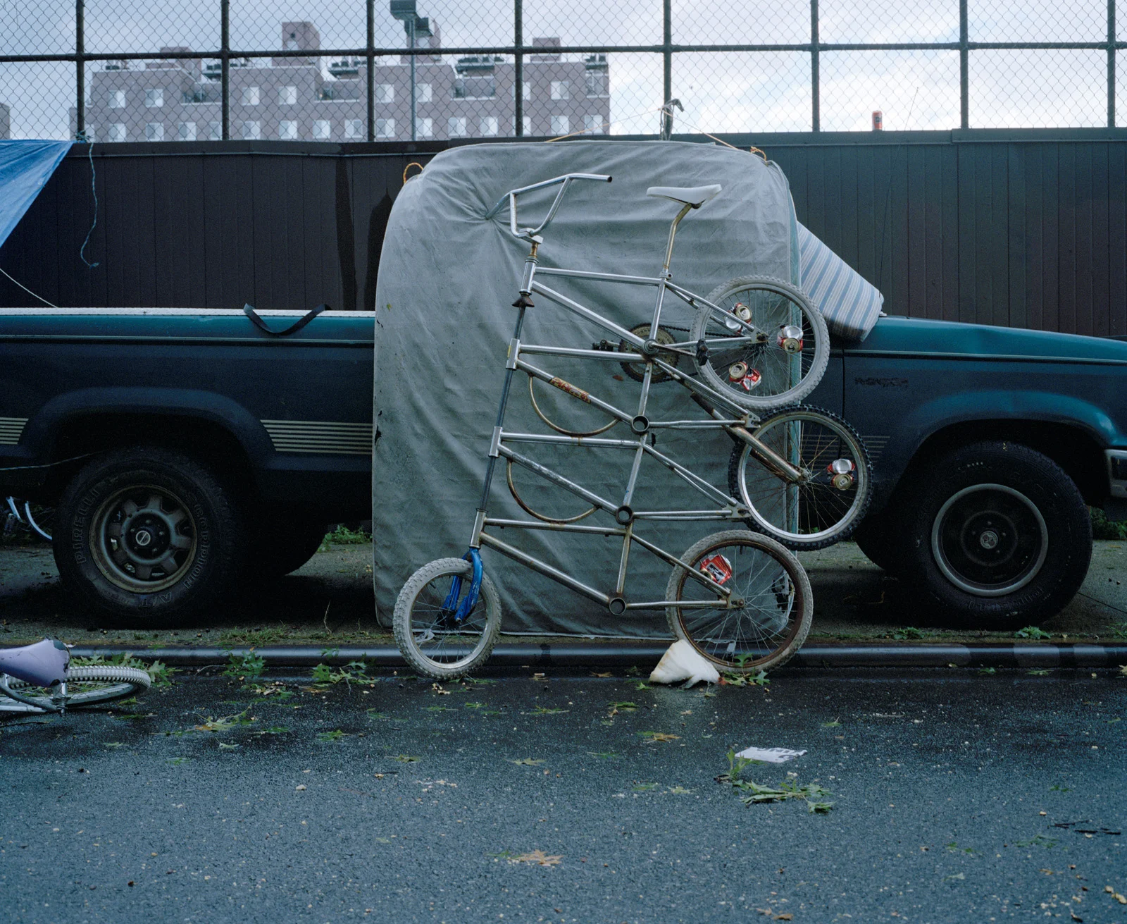 Bikekill10_28-01.jpg