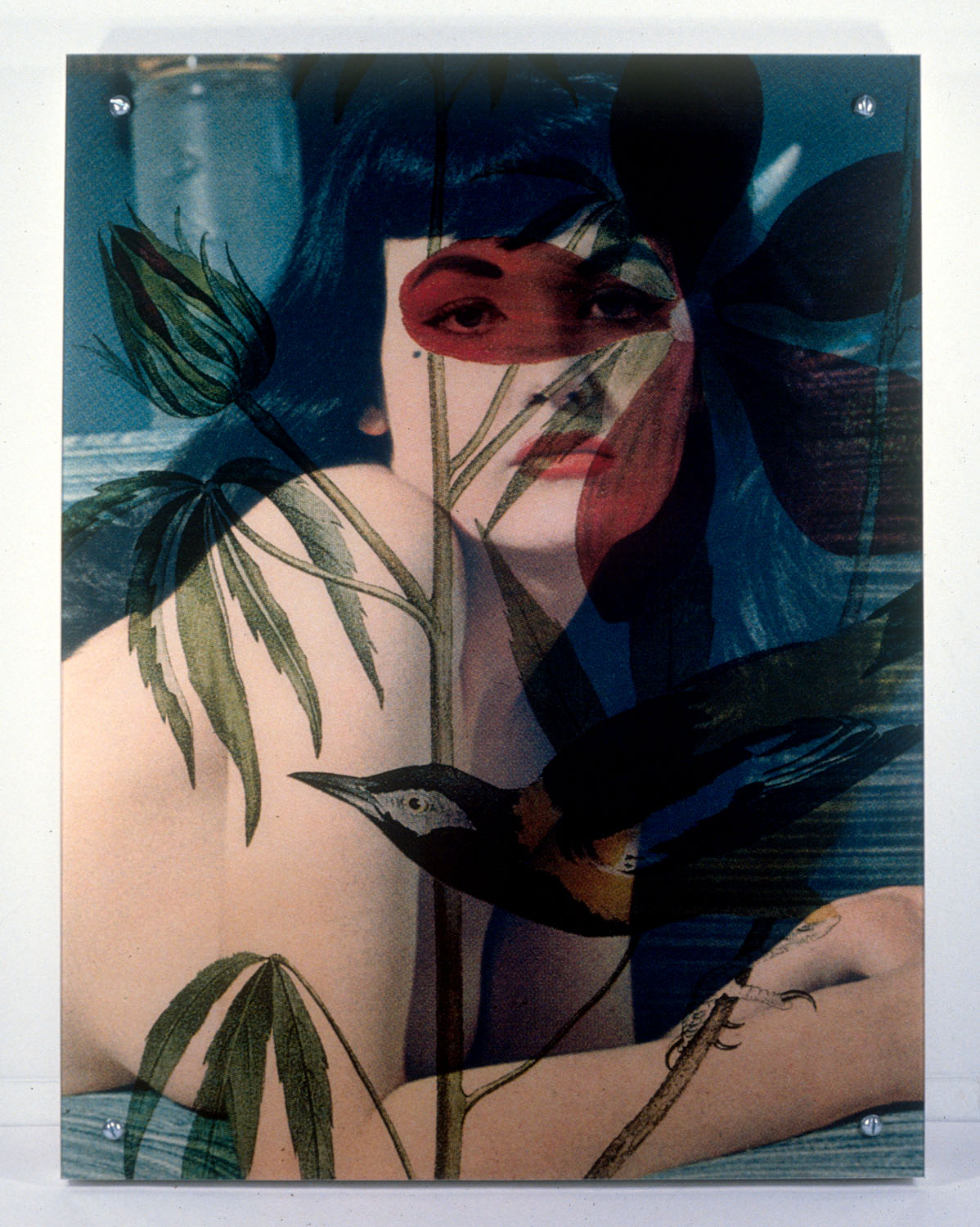   Woman As Object 1 (Version II) , 1996, 42 x 31 1/2 x 3 1/4", digital print, plexiglass, frame and hardware. 