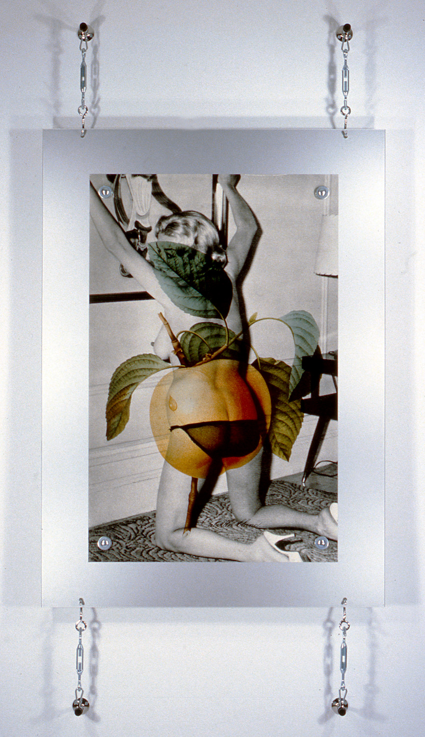   S/M Nude , 1995, 91 x 45 1/4", digital print, metal and hardware. 