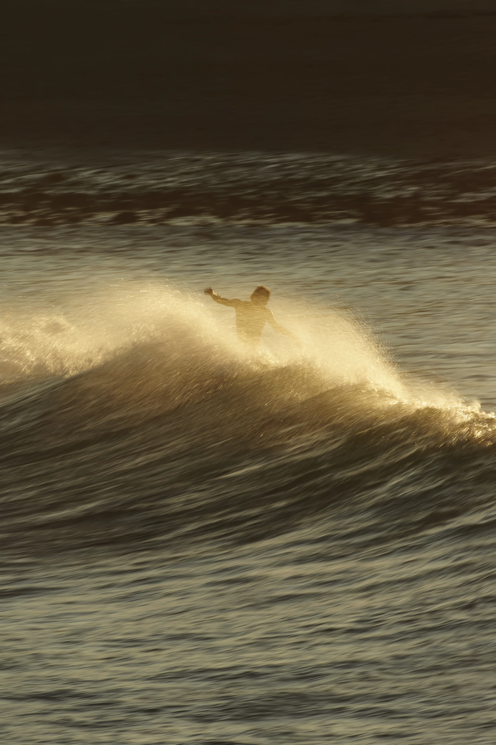 Tyler Warren - Malibu, CA.