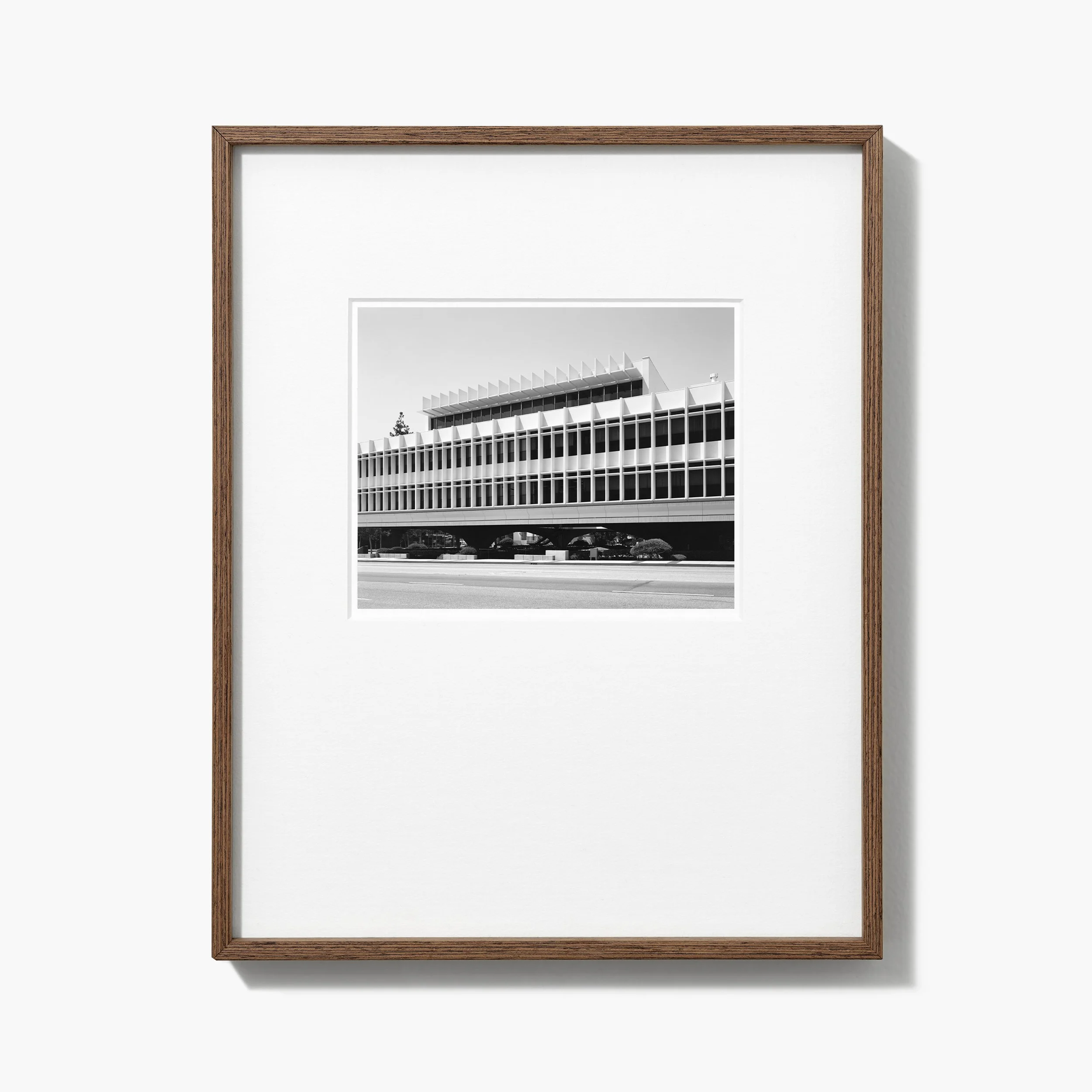 GMB - Sucupira Frame - 4x5 Horizontal.jpg