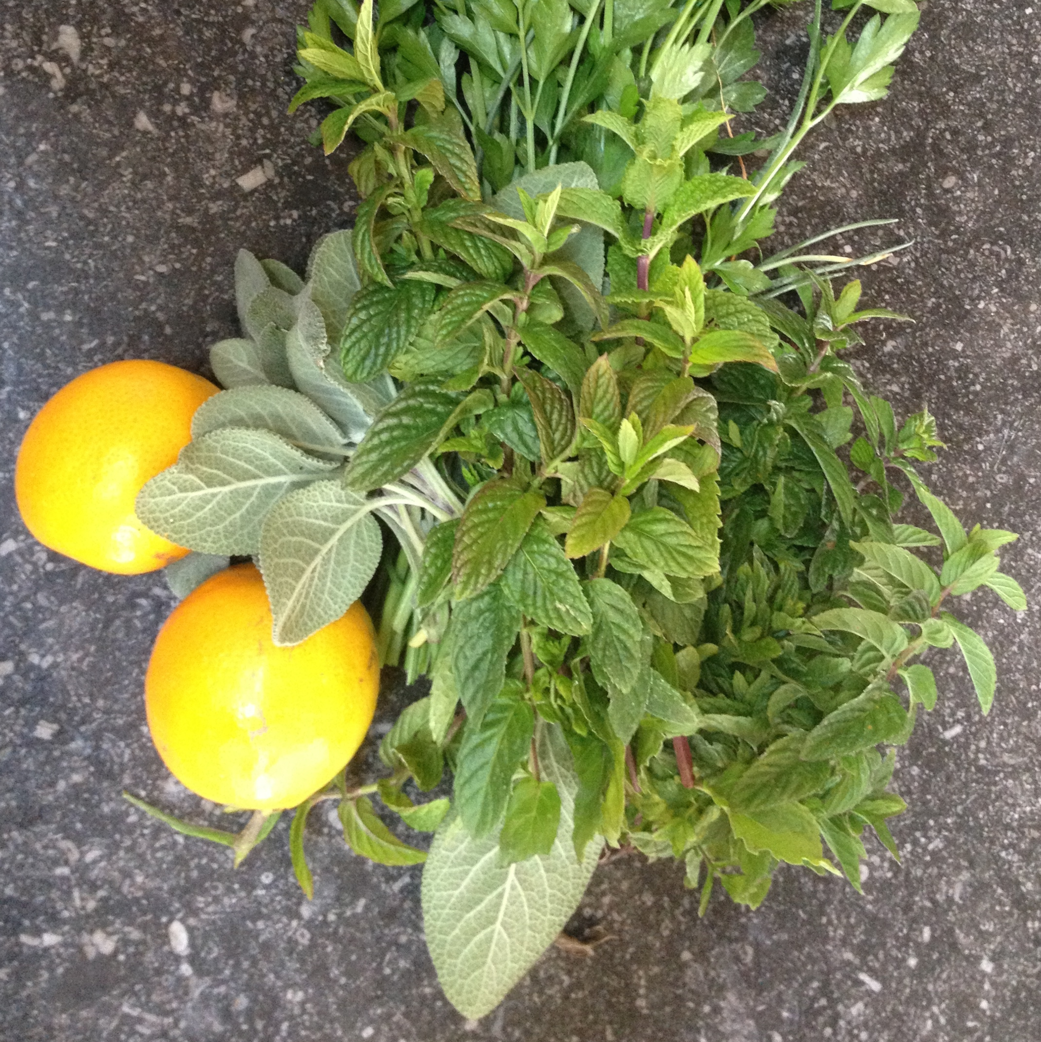 Personal Daily Food #3 We will create an action plan that's tailored to your unique tastes and needs. We'll then teach you how you can prepare these foods, and will leave you with some custom recipes.
