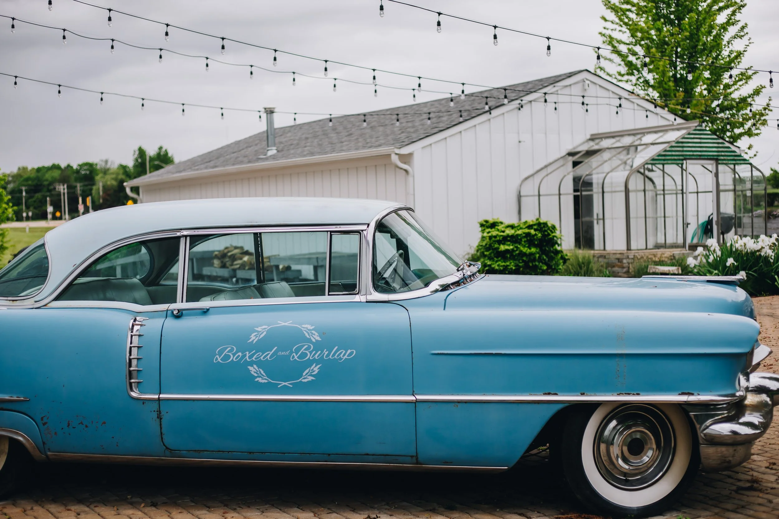 melissa marie photography