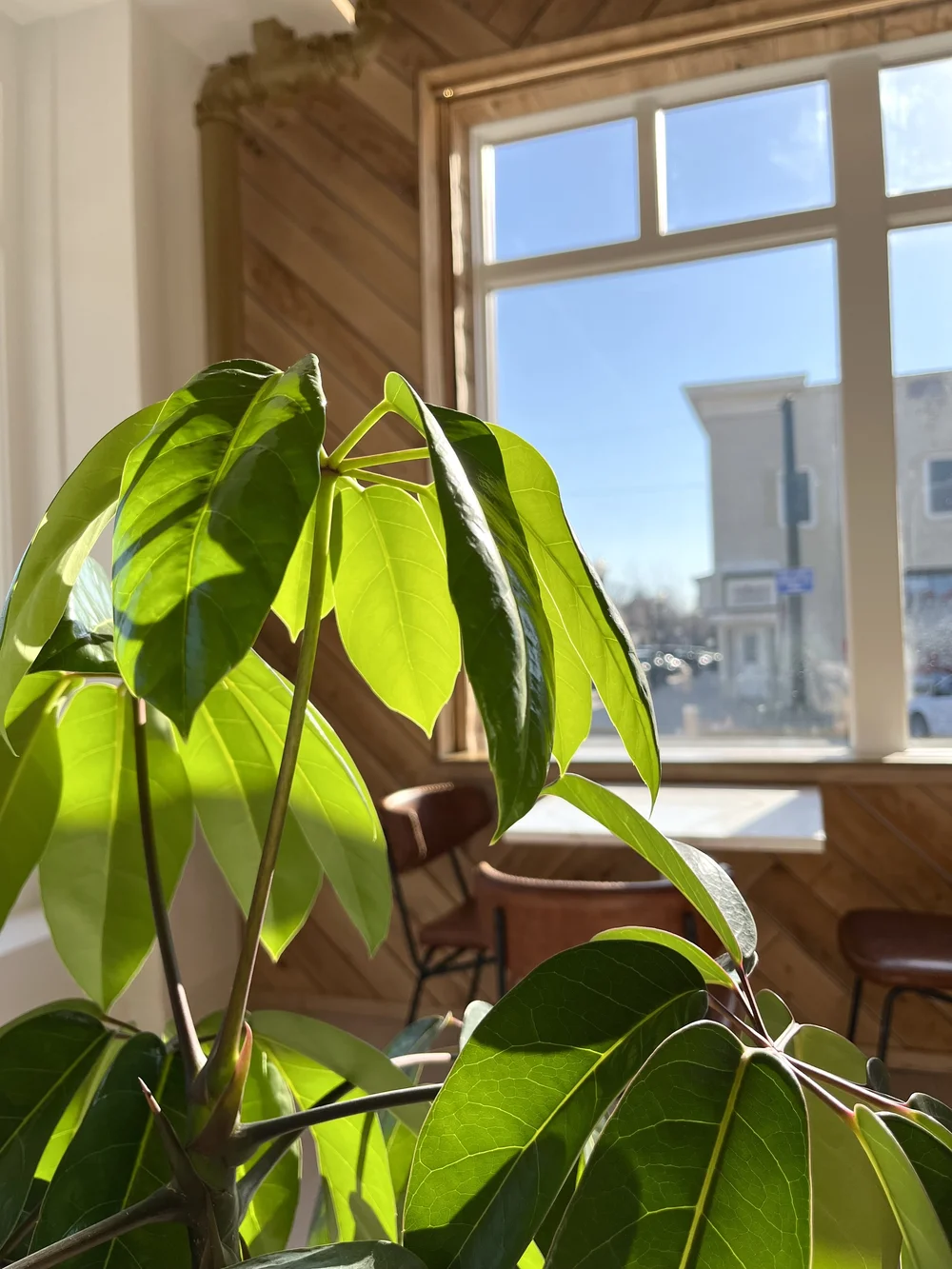 Locations — Boxed and Burlap