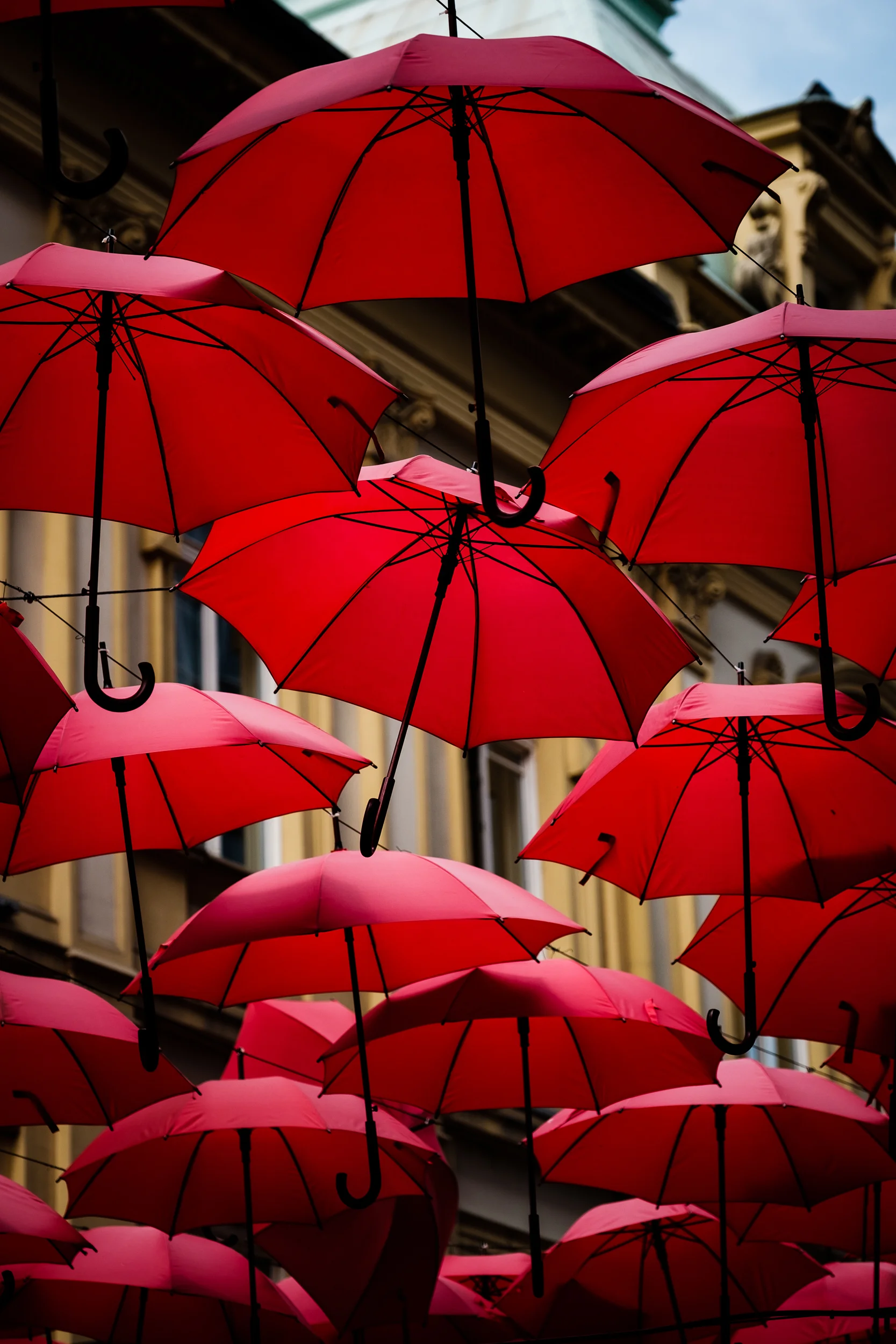 Unbrellas - Metal Print