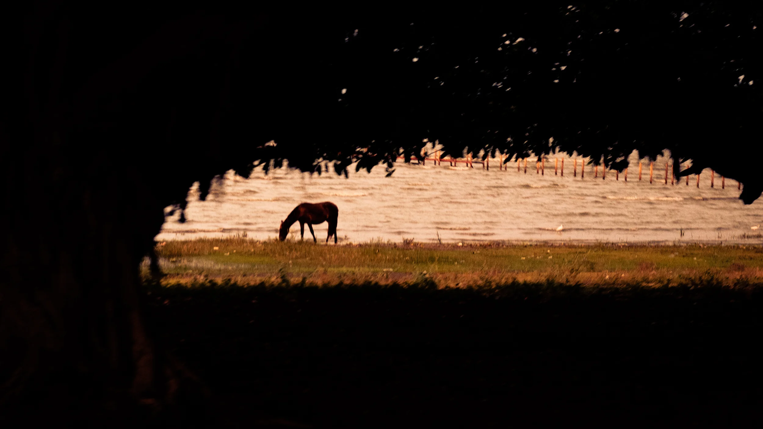 Fine-Art-Print-Kaz-Photo-Works-31.jpg
