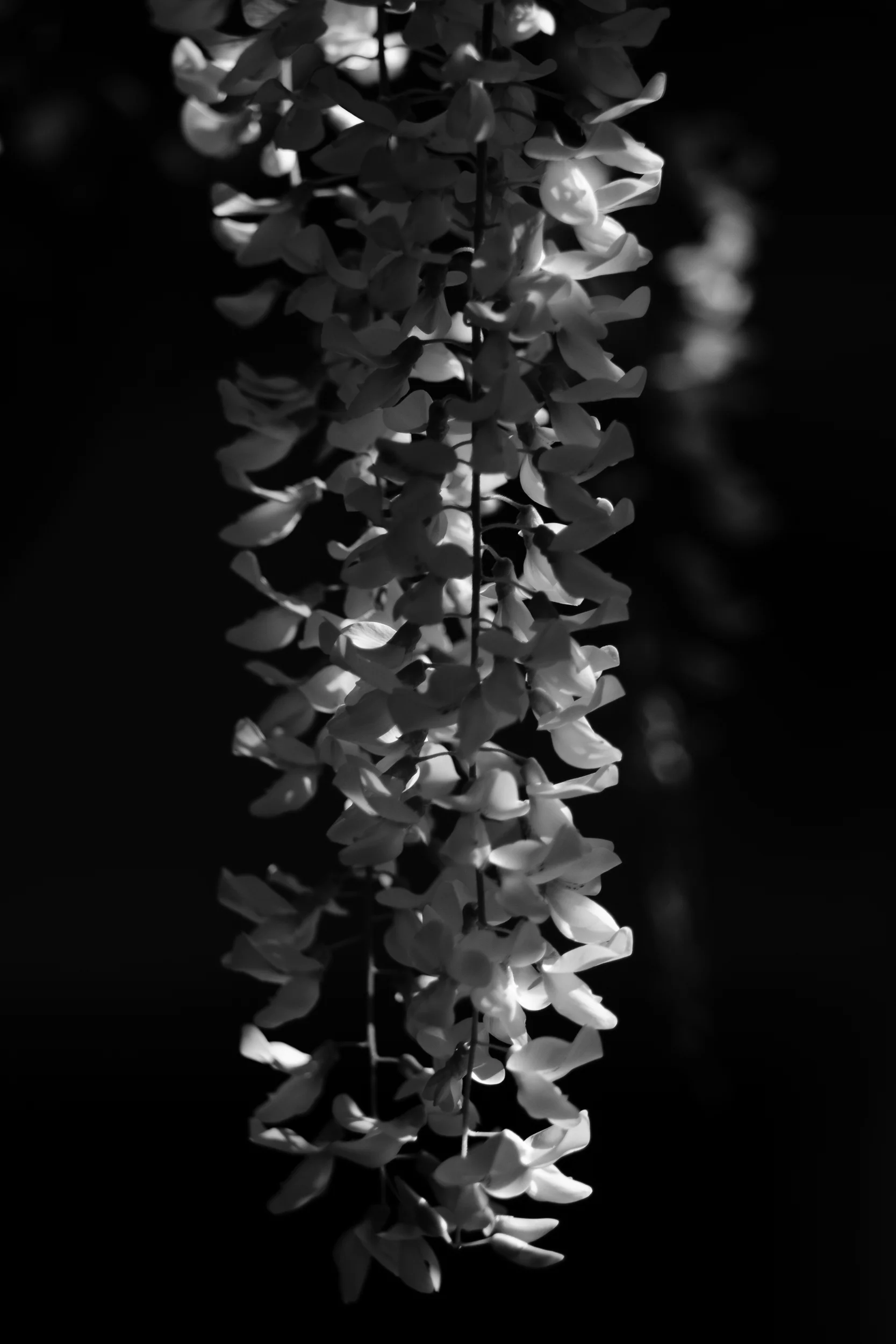 Fine-Art-Print-Kaz-Photo-Works-43.jpg
