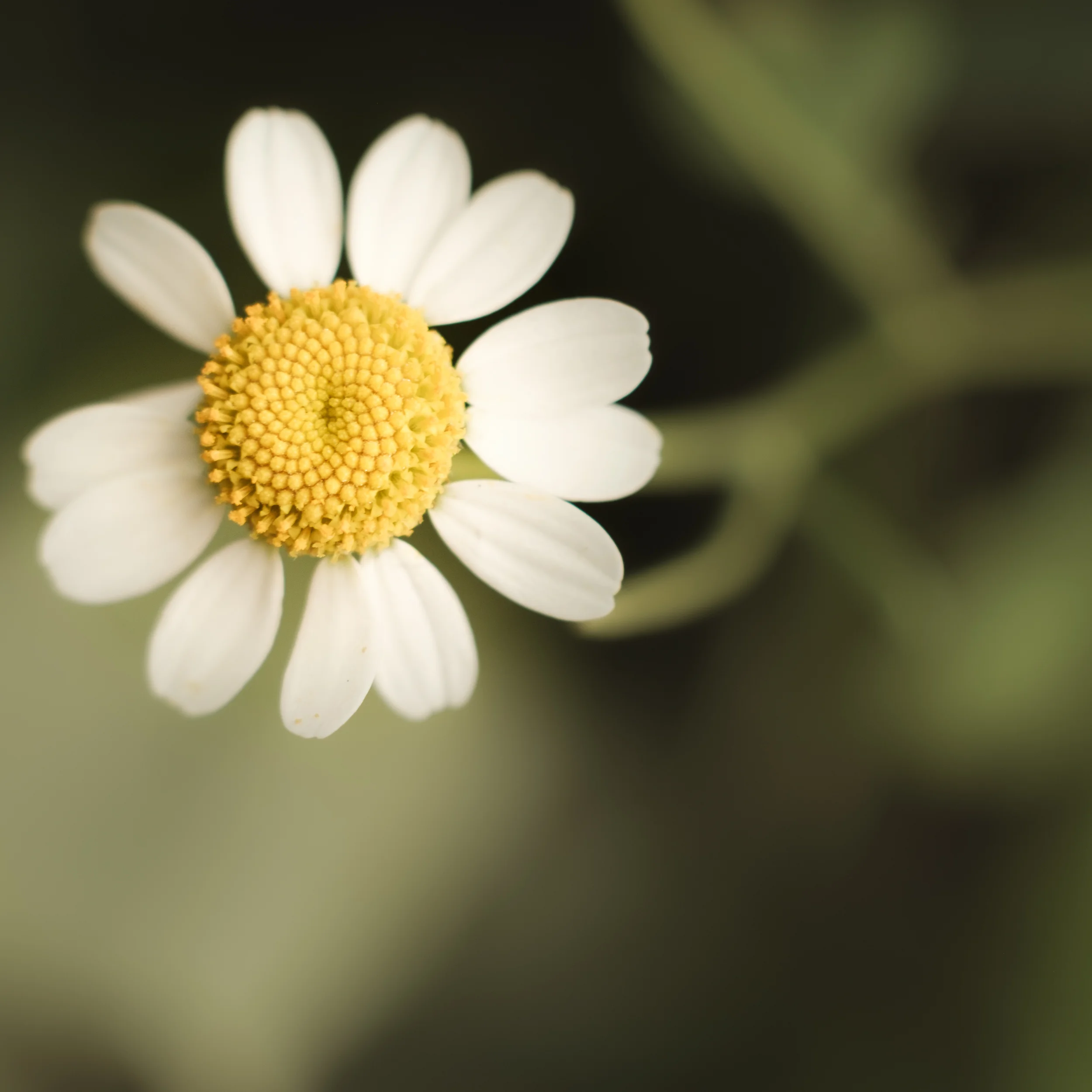 Fine-Art-Print-Kaz-Photo-Works-57.jpg