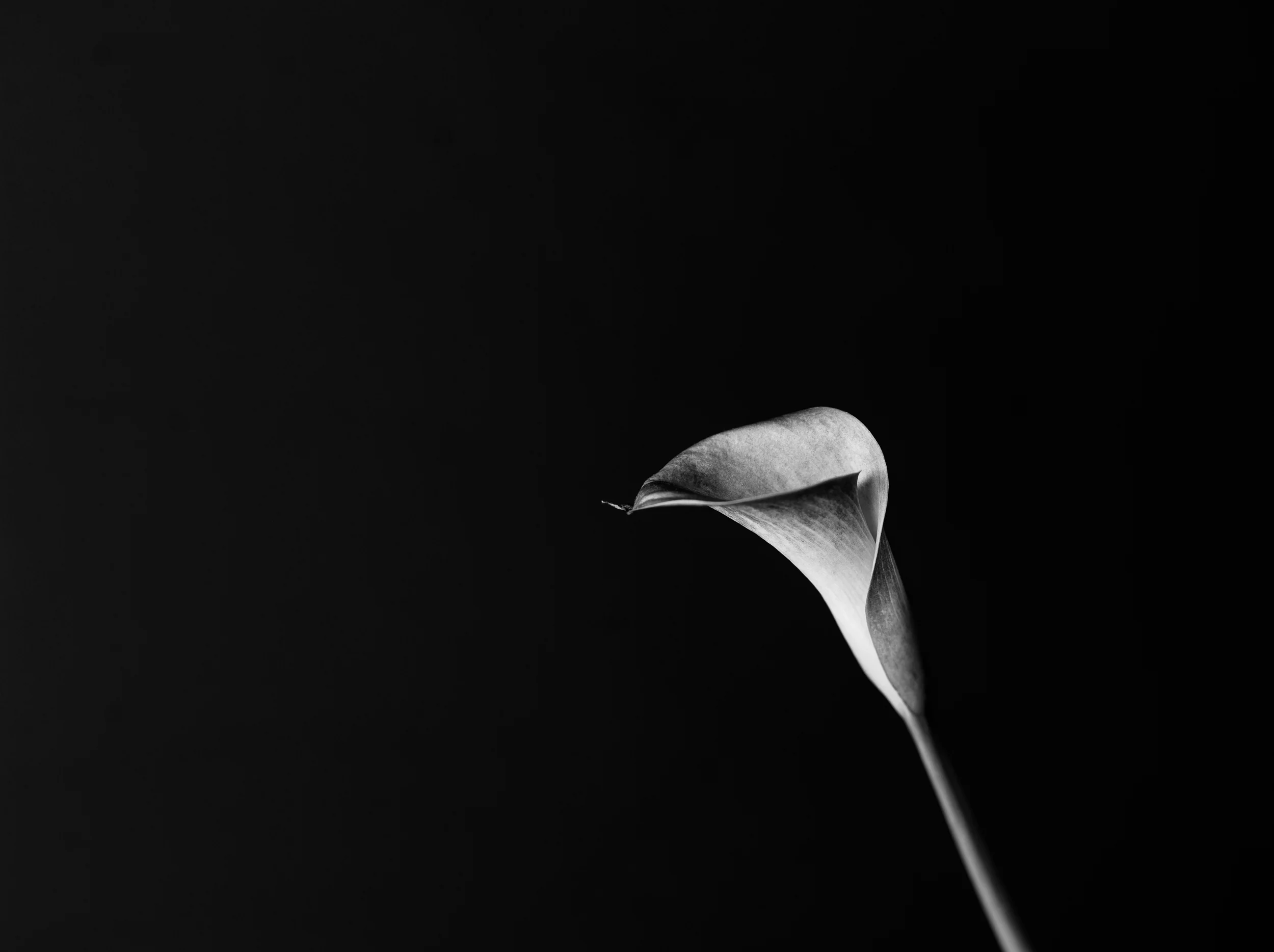 Fine-Art-Print-Kaz-Photo-Works-72.jpg