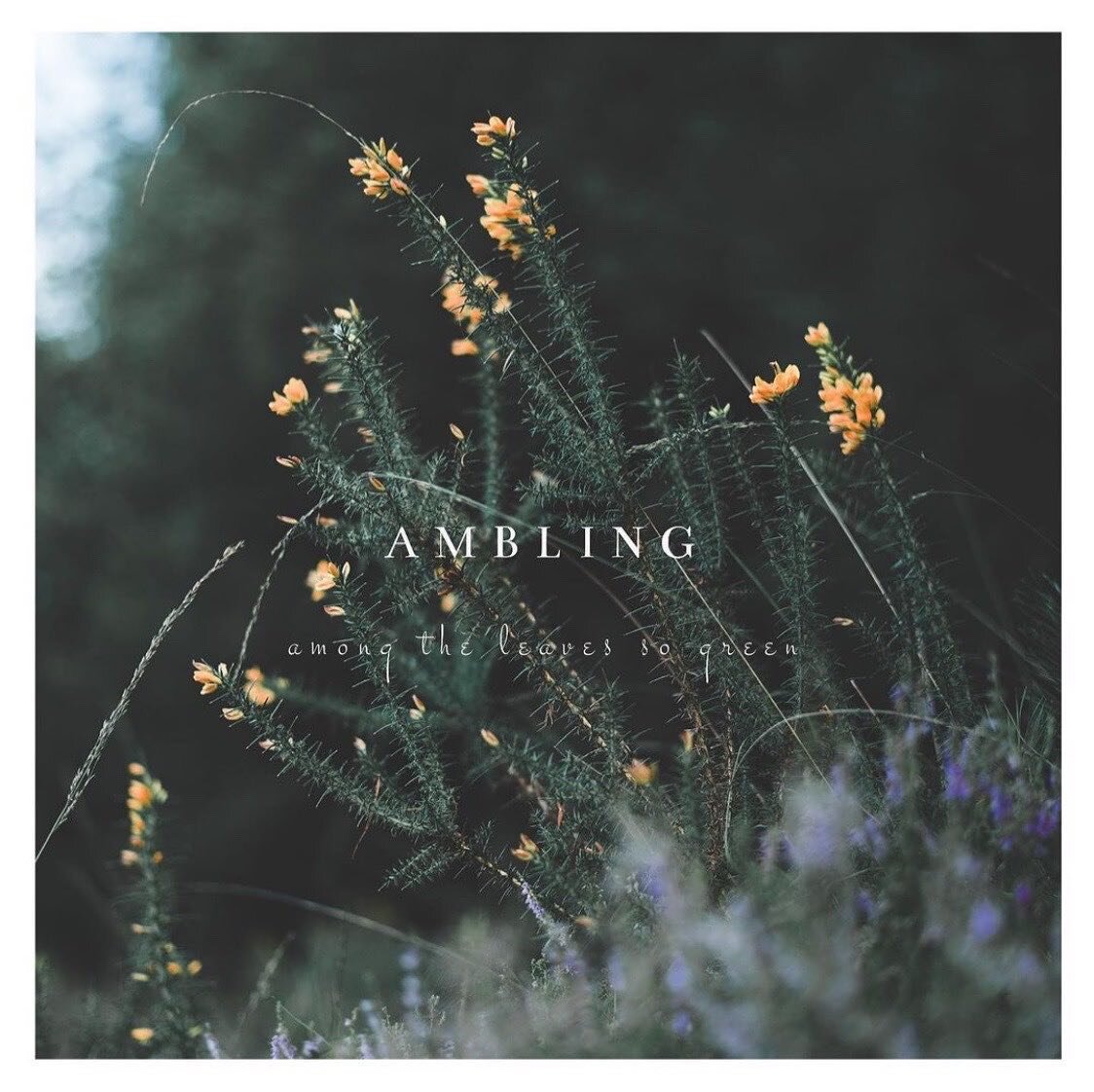 Christmas music isn&rsquo;t for everybody (absolutely massive understatement), but it&rsquo;s definitely for me. Every year, I try to bring something fresh into my rotation, and this new EP from @sarahgmccoy (Ambling) is really doing it for me right 