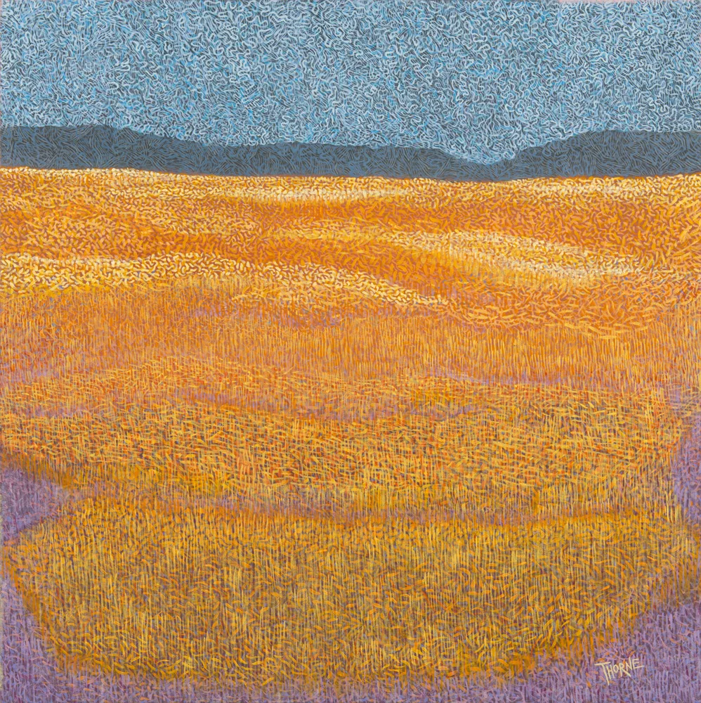 Spring Meadow