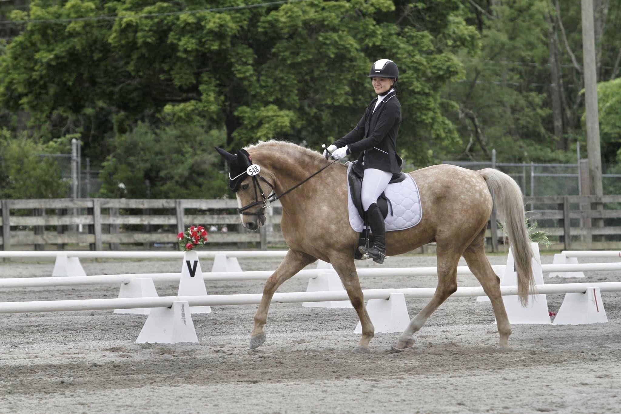 Stony Creek Horse Farm