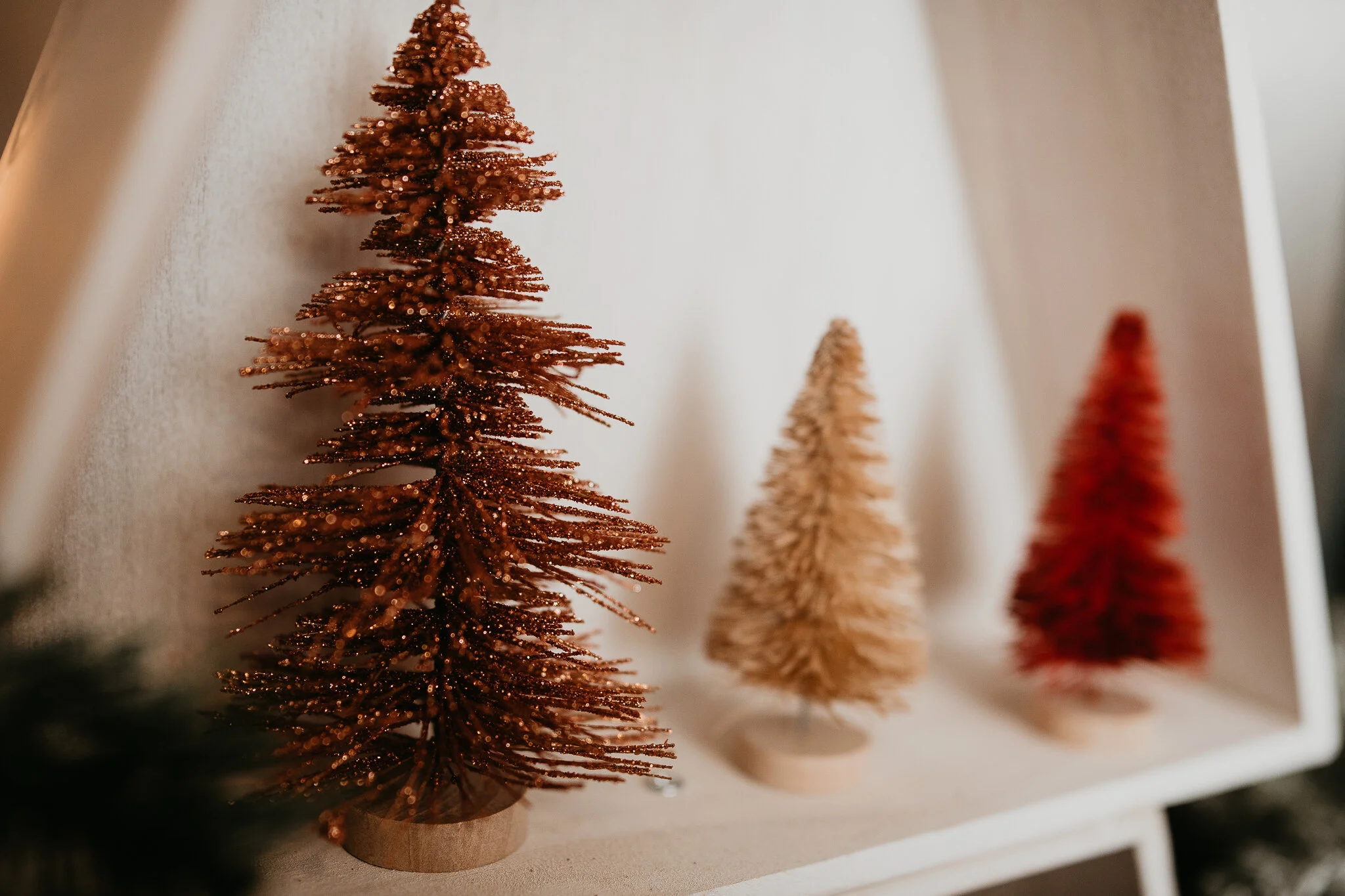 MBJ_5162.jpg