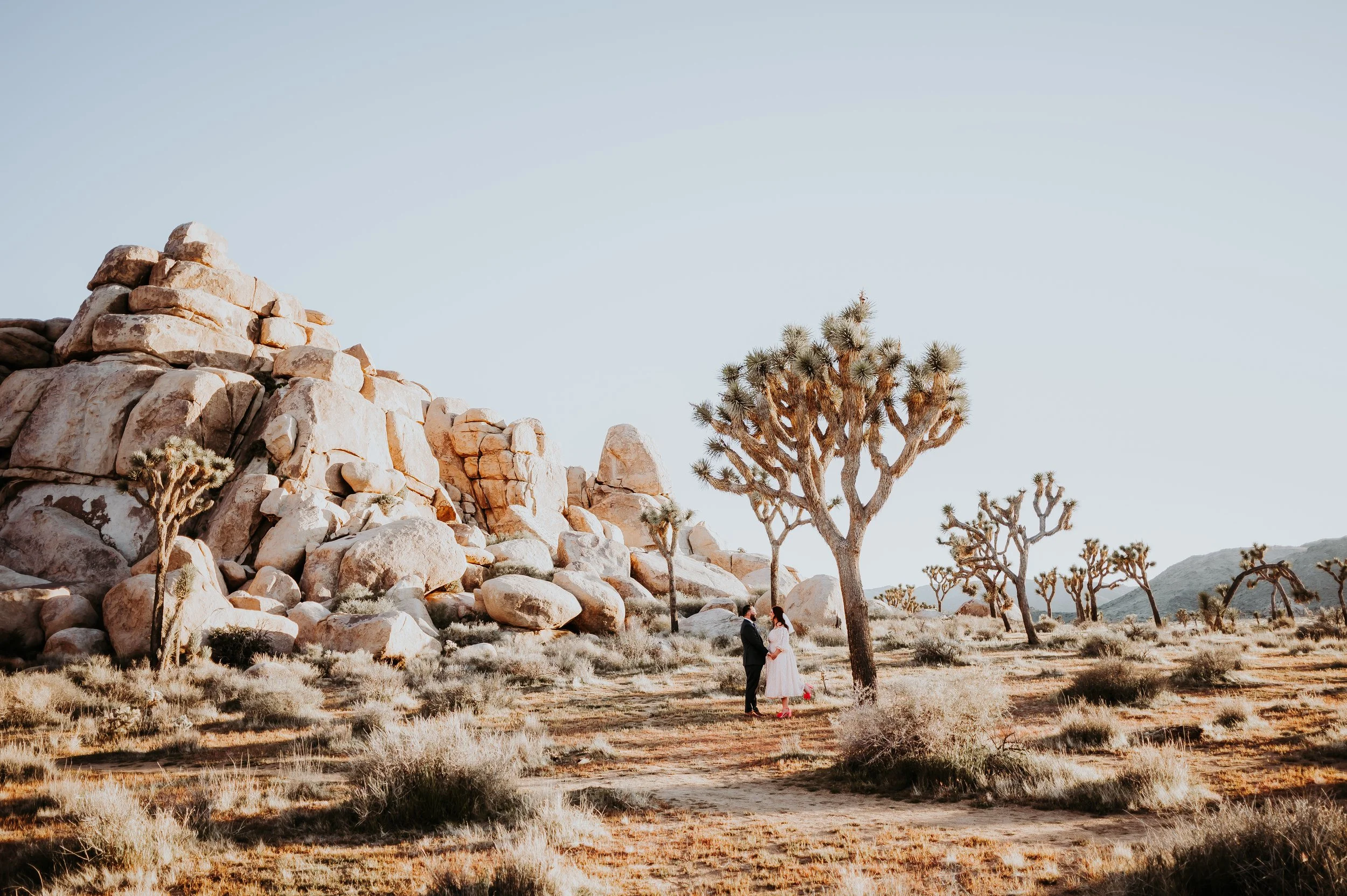 A Desert Love Story 